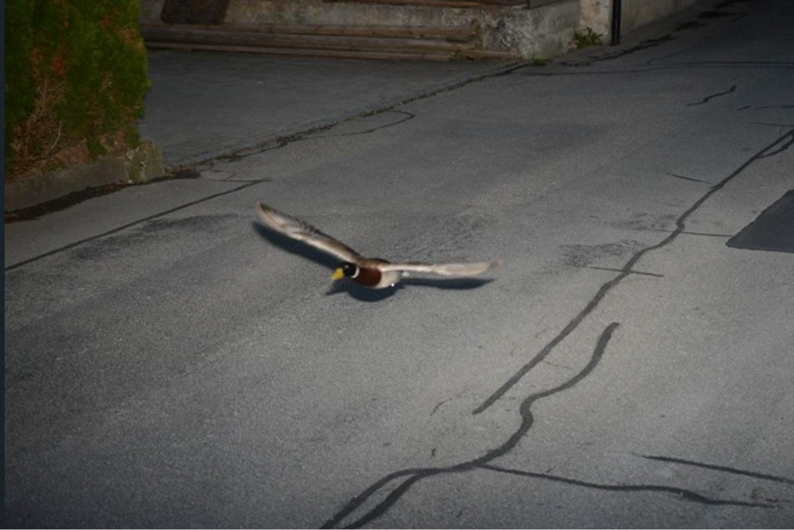 Изображение с дорожной камеры. Фото: Sky News