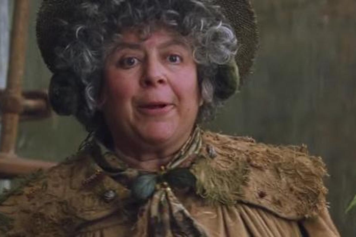 Мириам Марголис. Скриншот: к/ф «Гарри Поттер и Тайная комната»