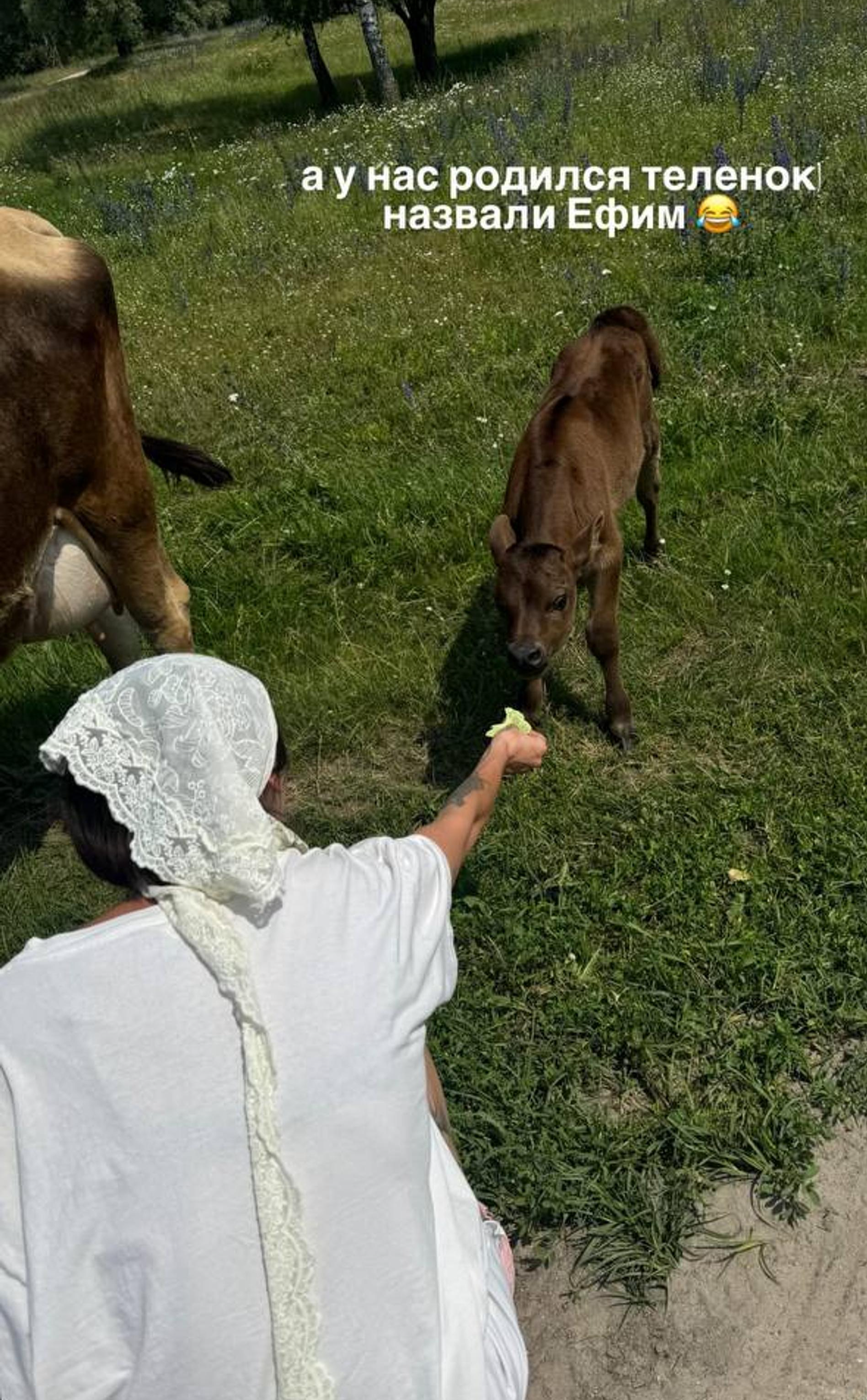 Фото: Инстаграм (запрещён в РФ) @_agentgirl_