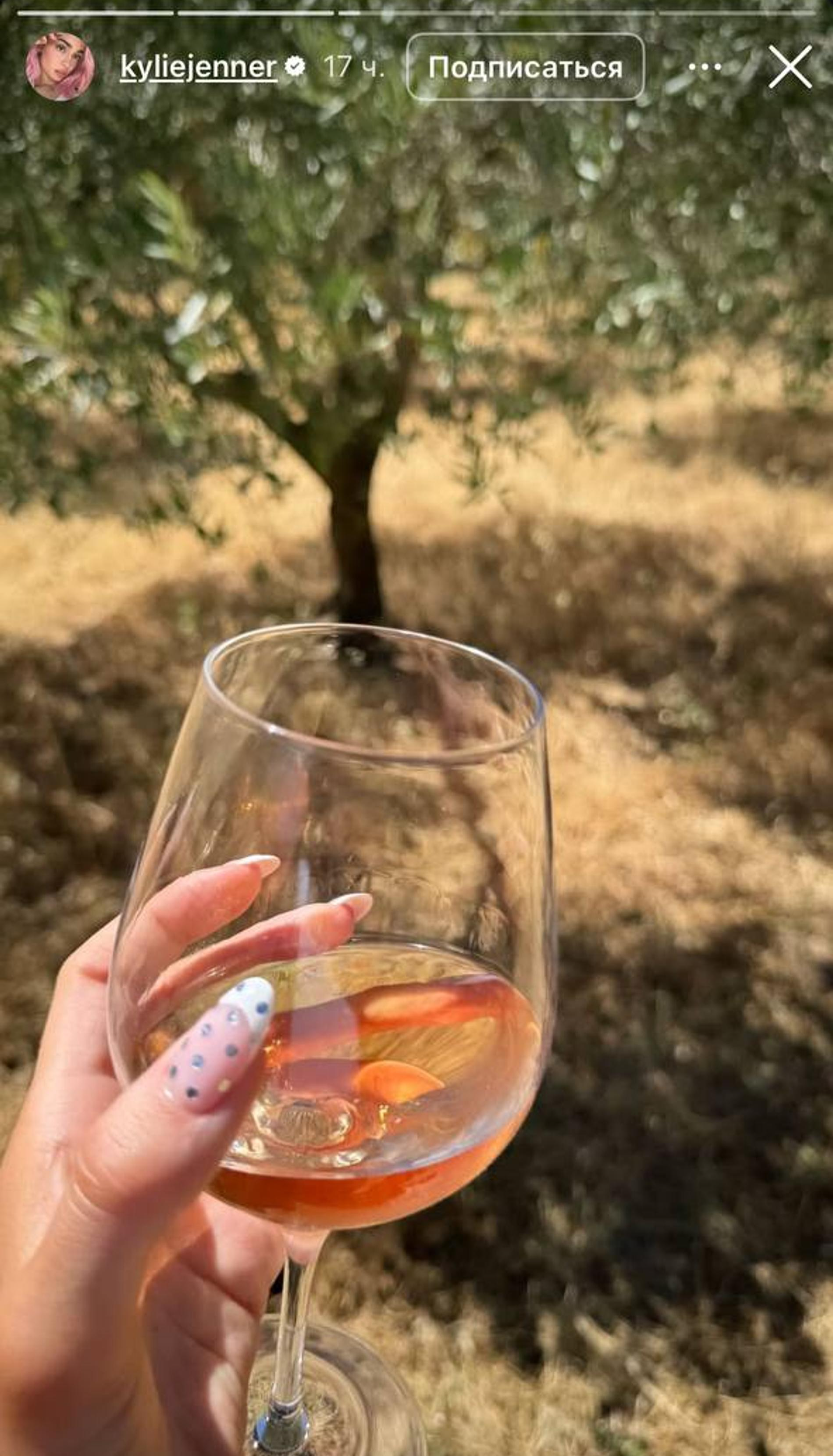 Фото: Инстаграм (запрещён в РФ) @kyliejenner