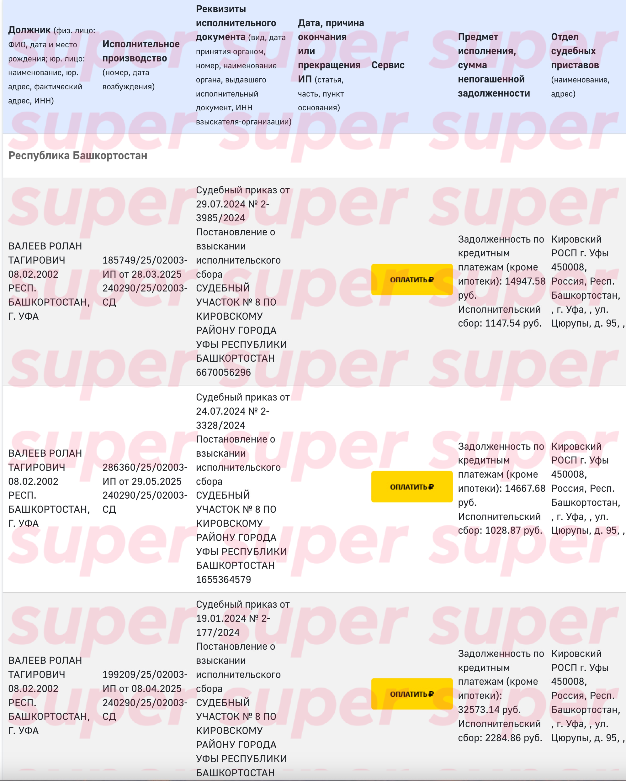 Данные о задолженностях Ролана Валеева. Фото: официальный сайт ФССП