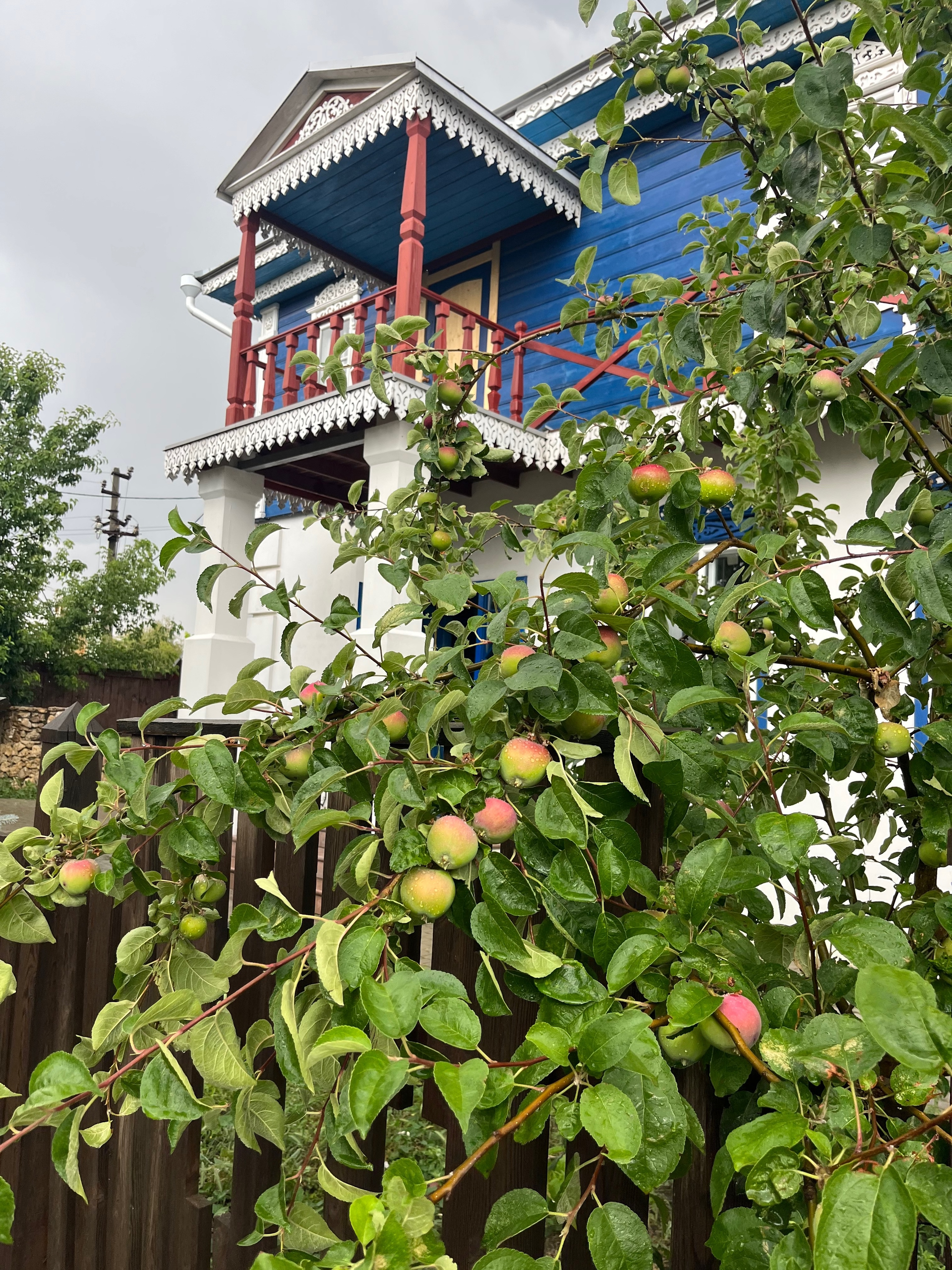 Фото: VK-сообщество «Подворье Рязановых»