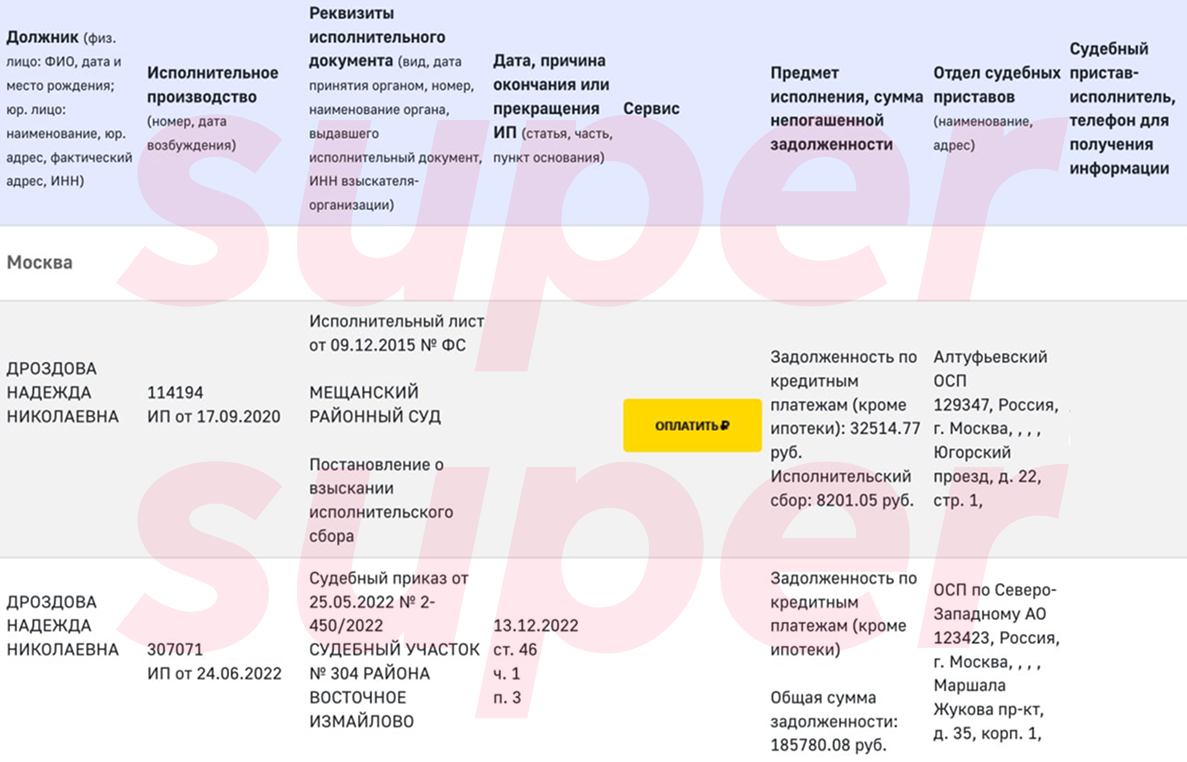 Неоплаченные и оплаченные долги Надежды Дроздовой. Фото: сайт ФССП
