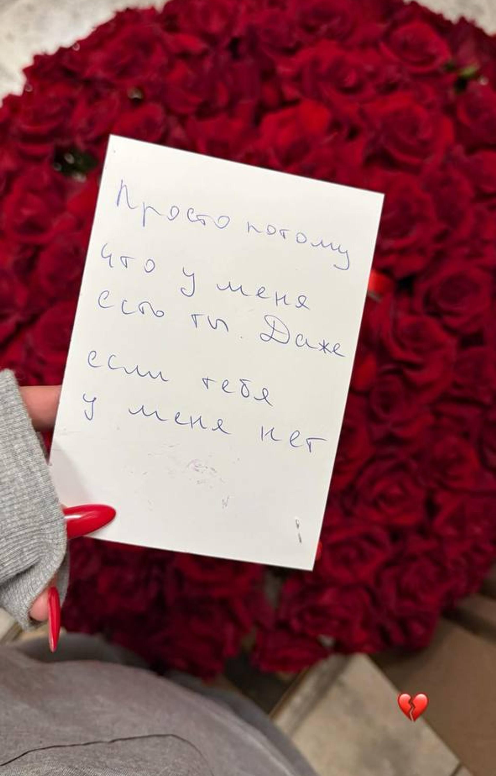 Скриншот: Инстаграм (запрещён в РФ) @annasedokova