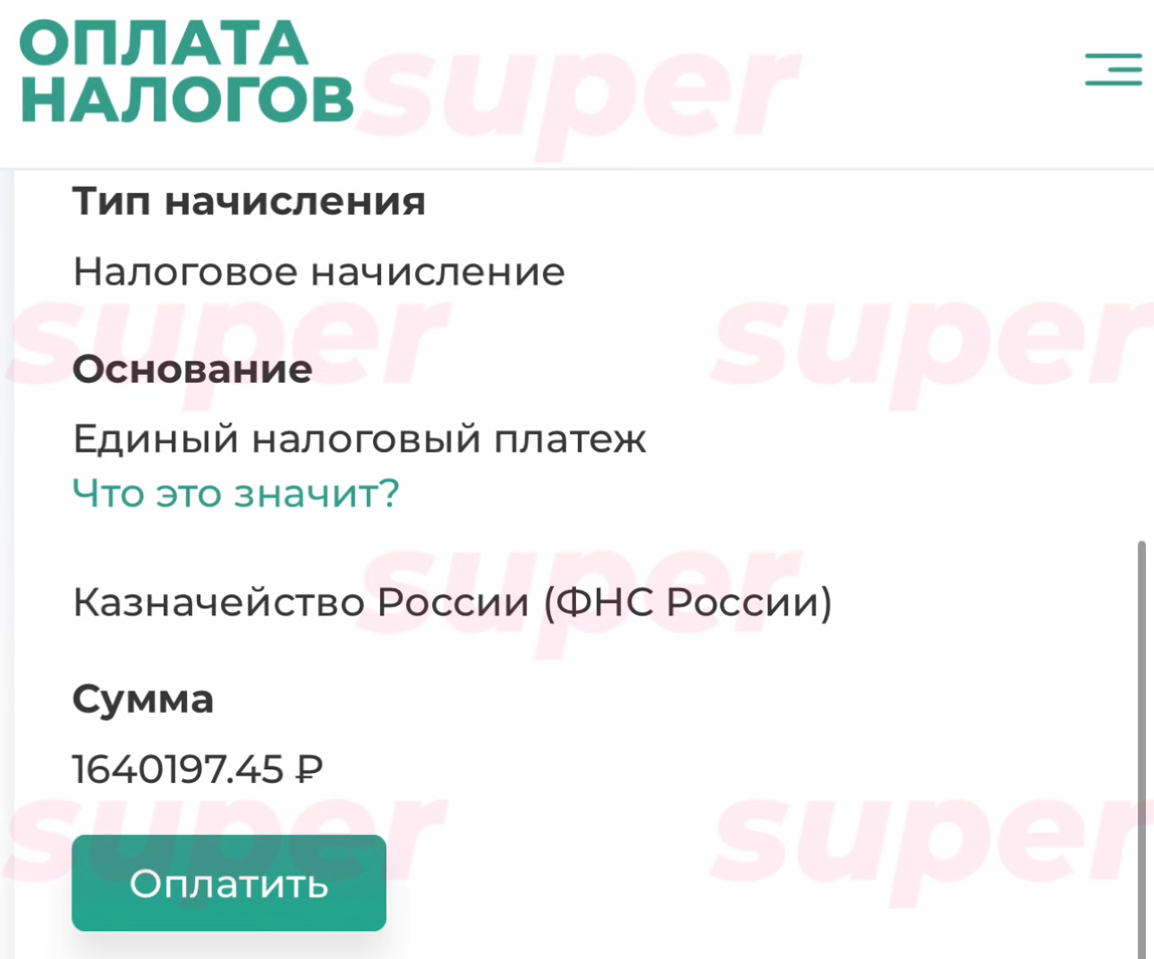 Налоговый долг Вячеслава Дайчева. Фото: gosnalogi