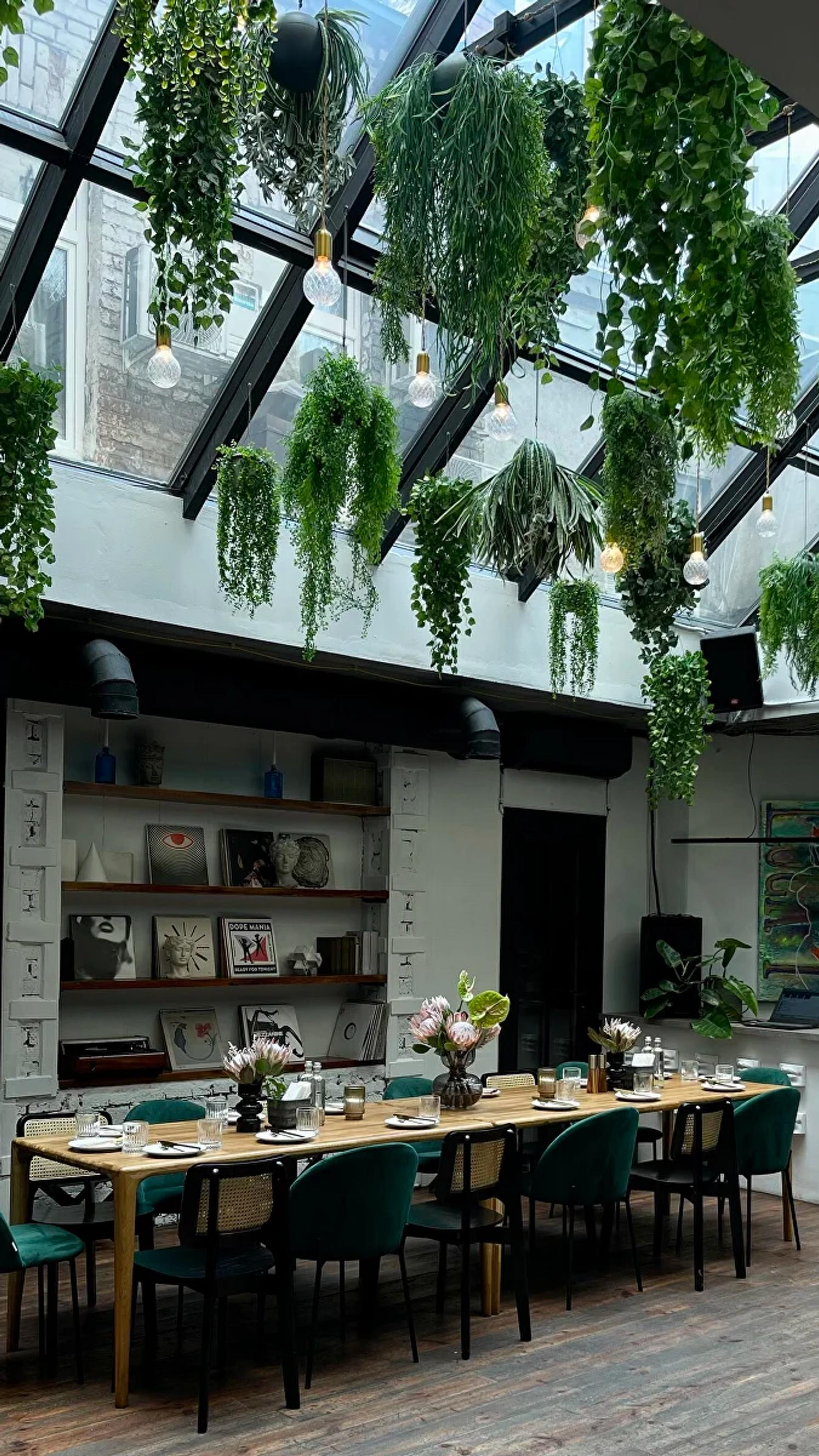 Фото: «Винил & вино»