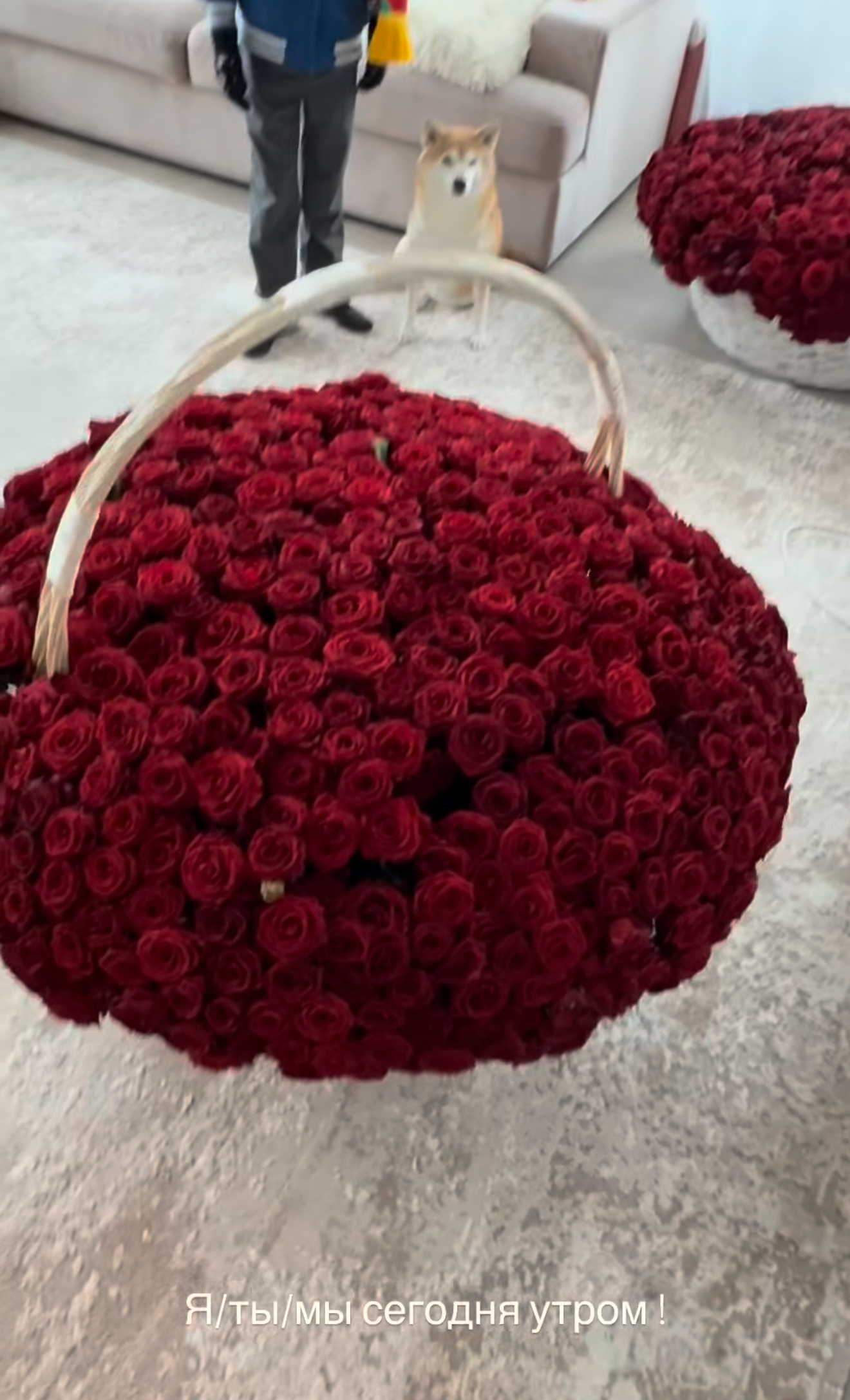 Фото: Instagram (Запрещён в РФ) @annasedokova