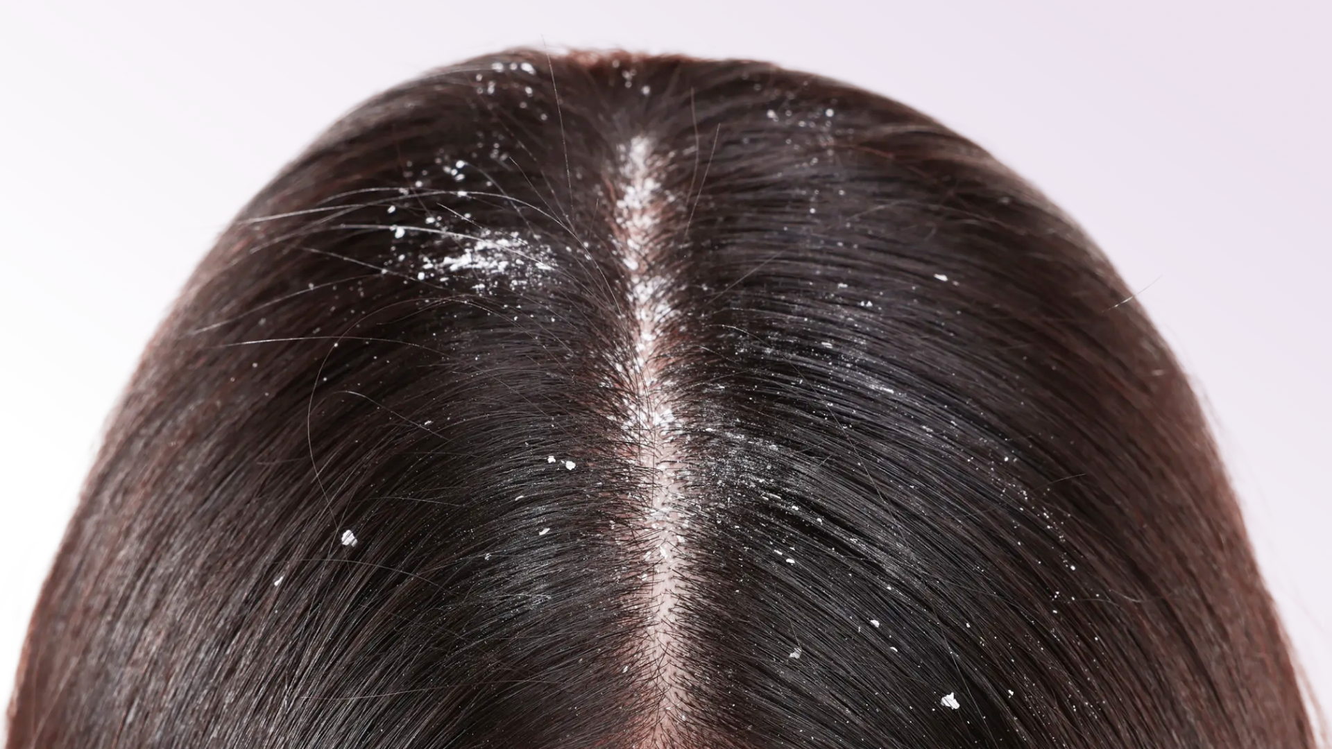 Фото: архив пресс-службы