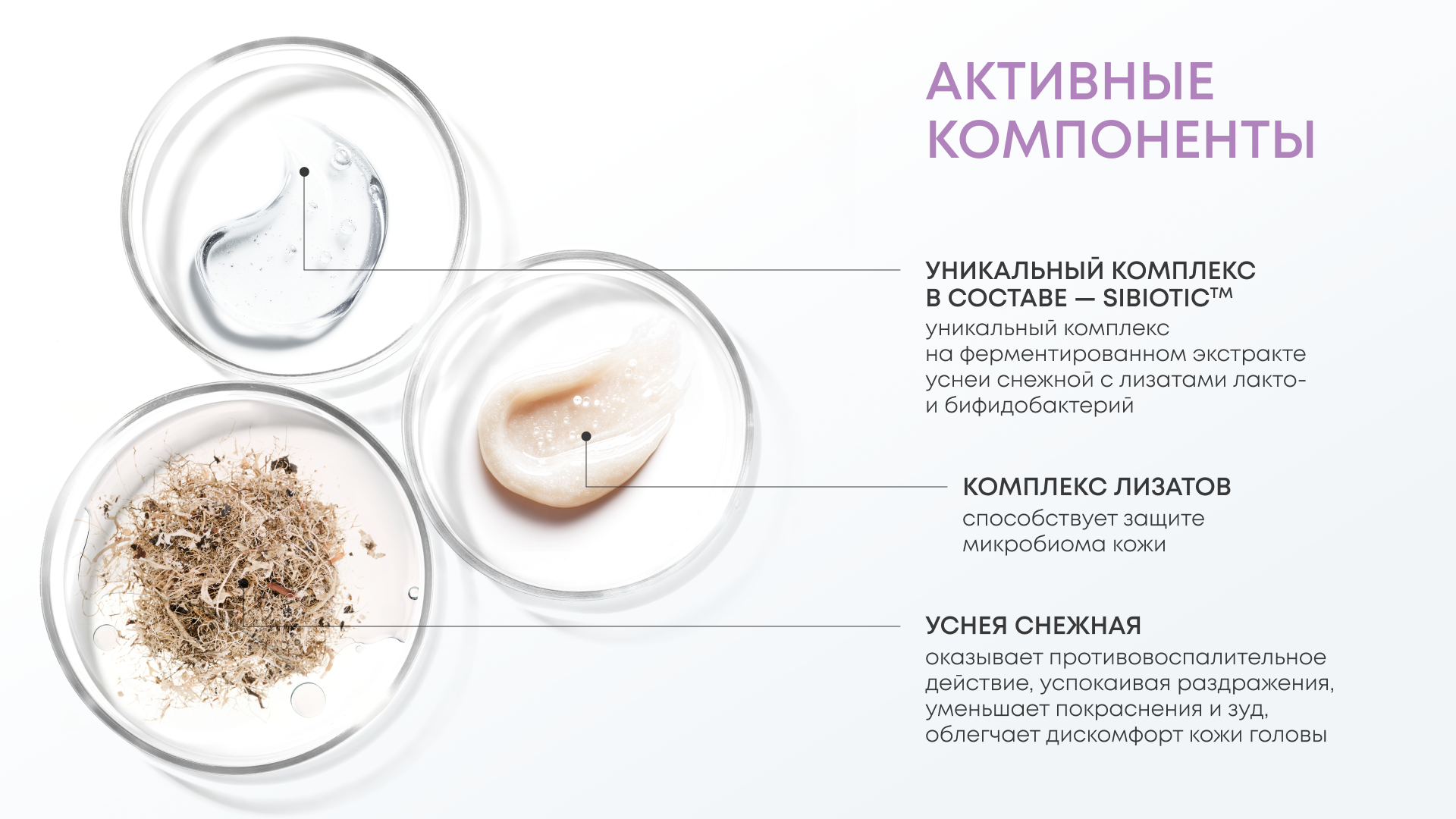 Фото: архив пресс-службы