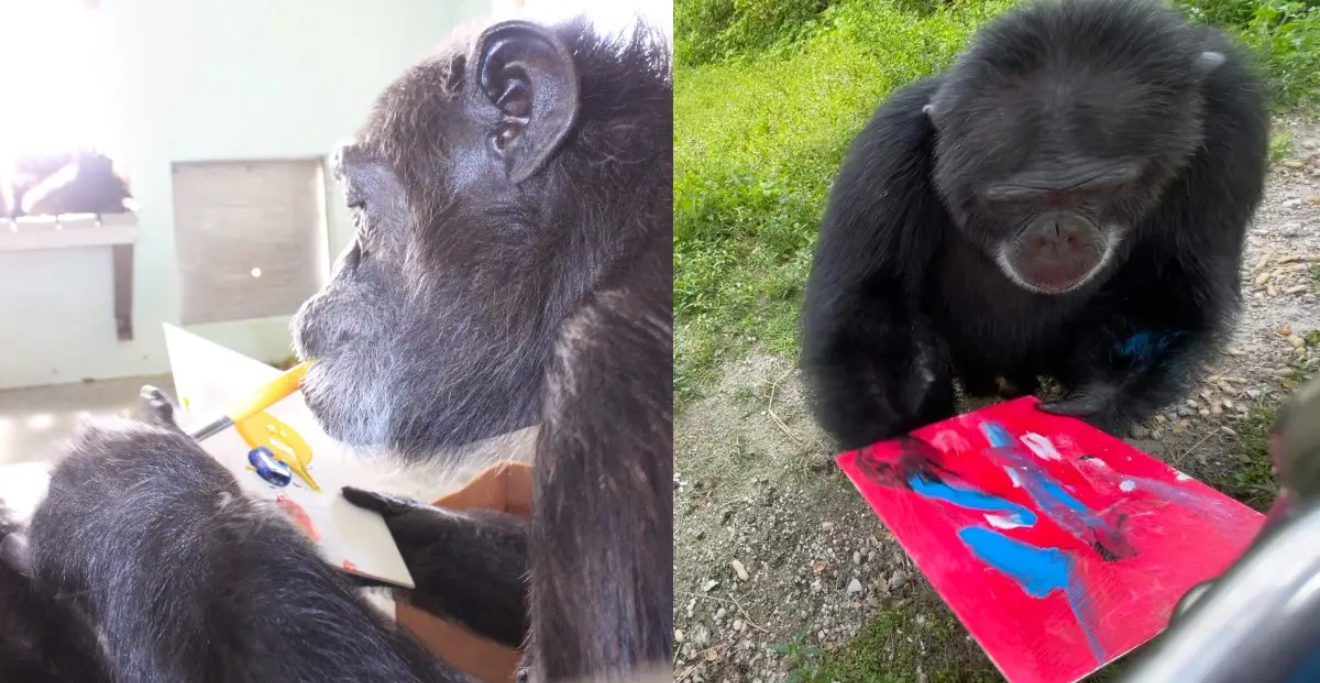 Скриншот: RadarOnline