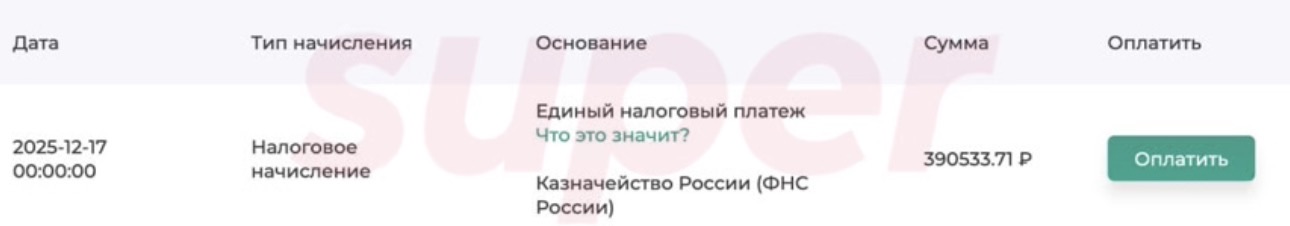 Фото: gosnalogi.ru