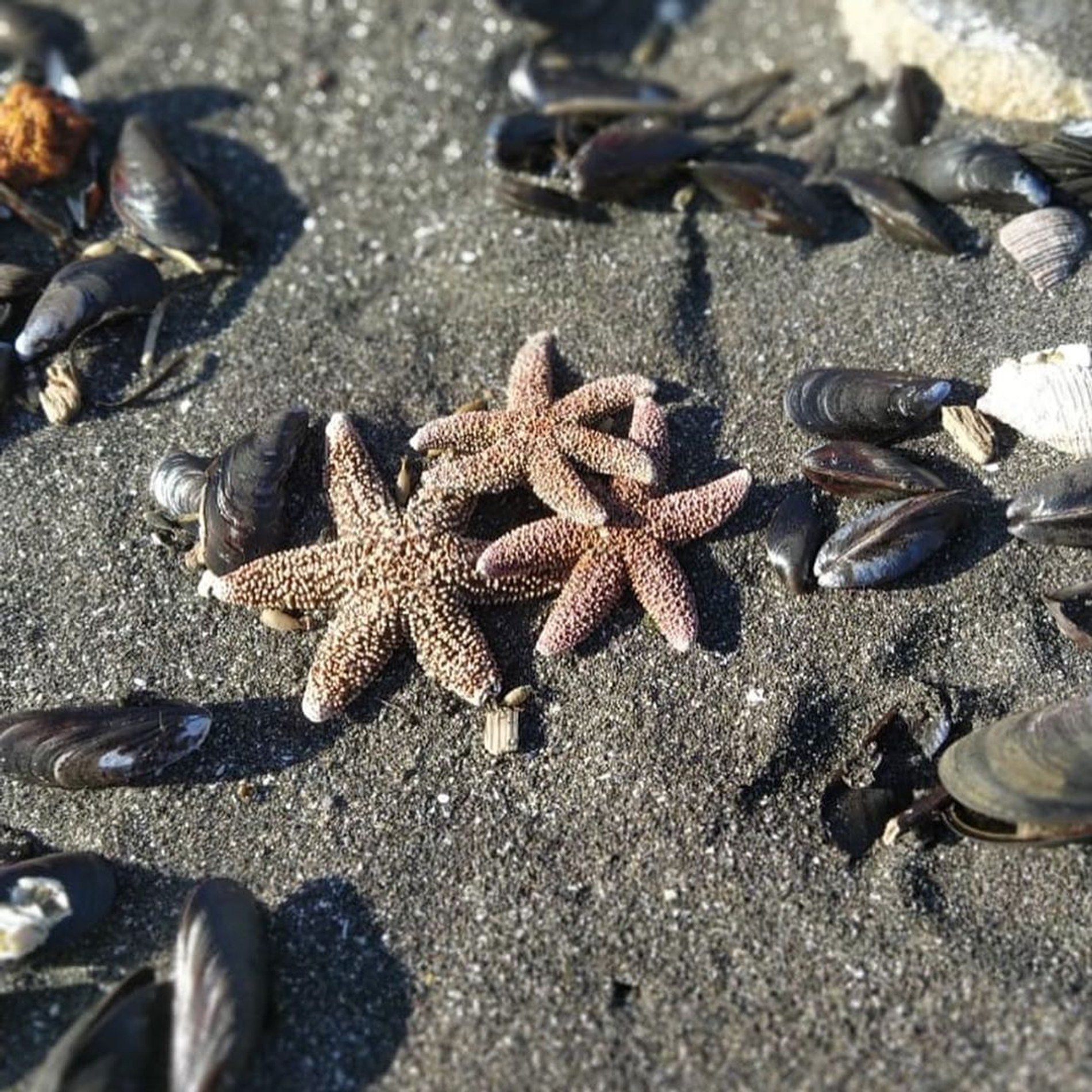 Фото © Instagram / lasha_dasha