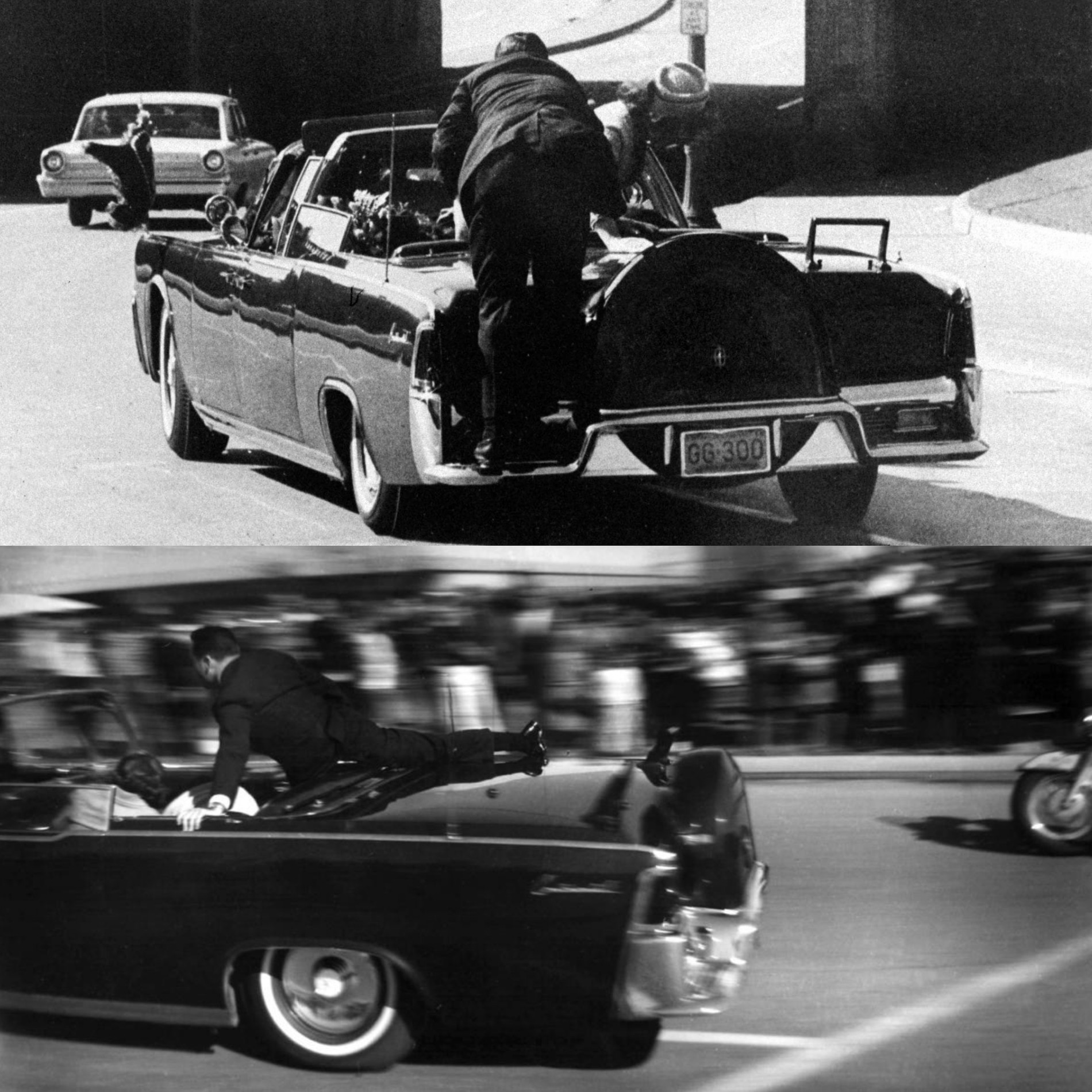 Фото: Daily Telegraph