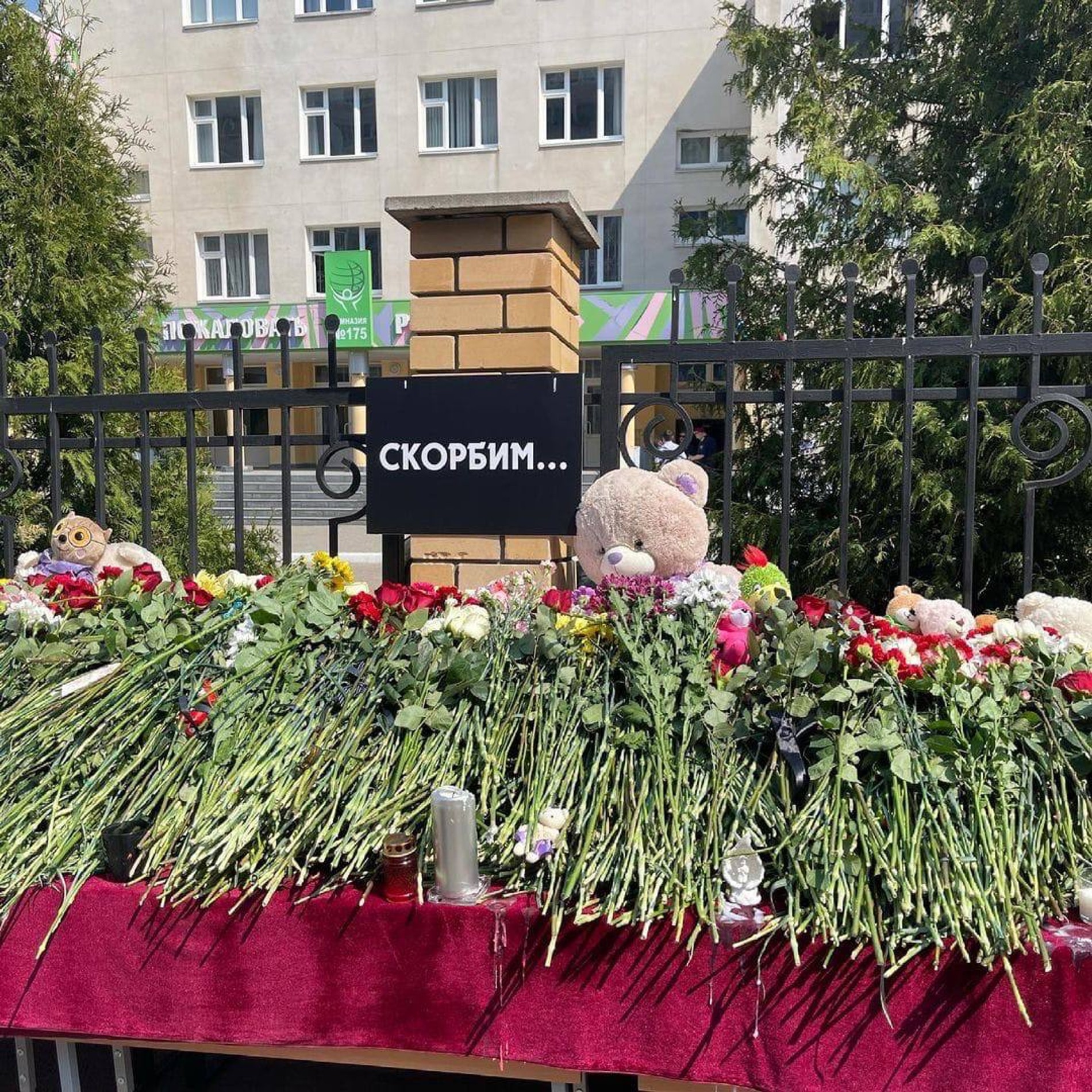 Фотография к посту Давида