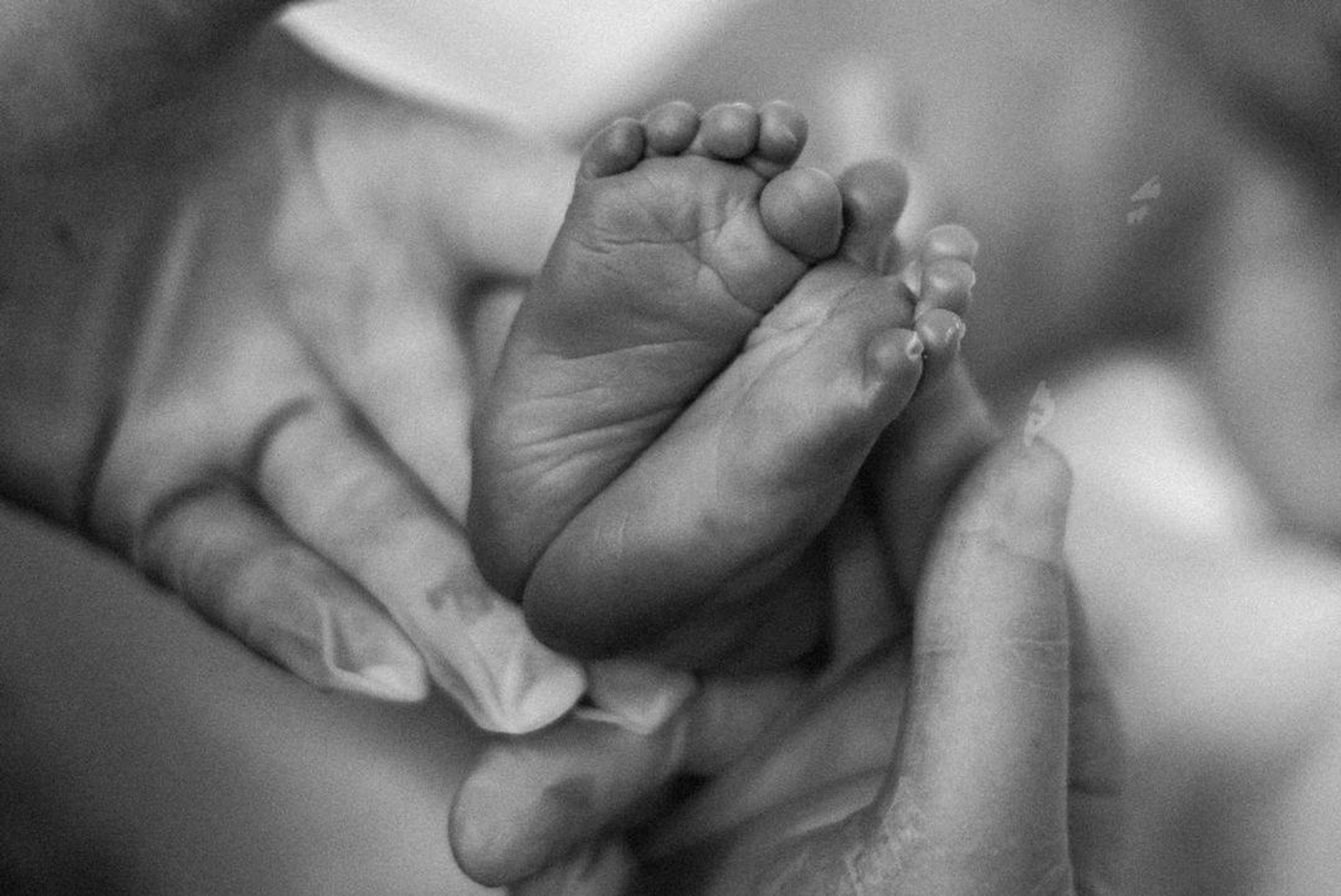 Фото: Инстаграм Лены Перминовой