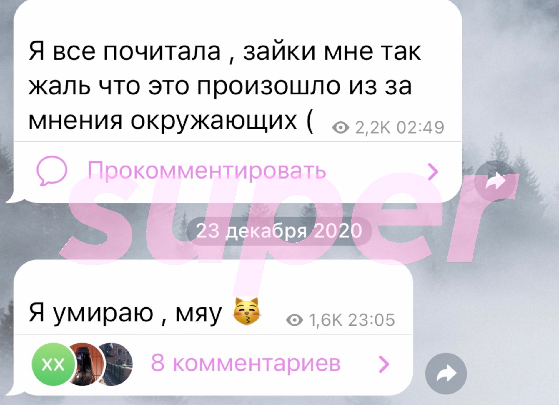 Фото © Аккаунт Дарьи в соцсетях