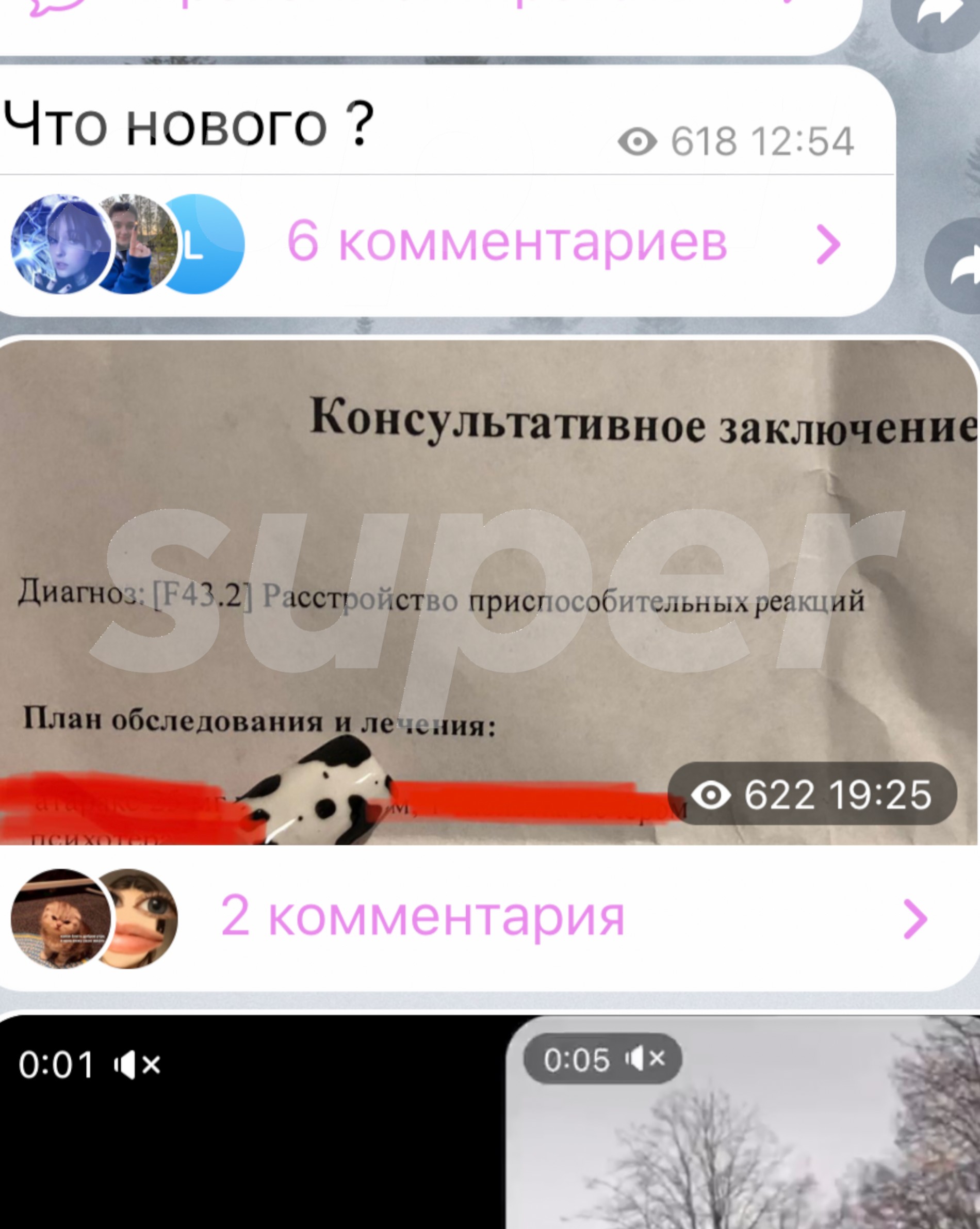 Фото © Аккаунт Дарьи в соцсетях