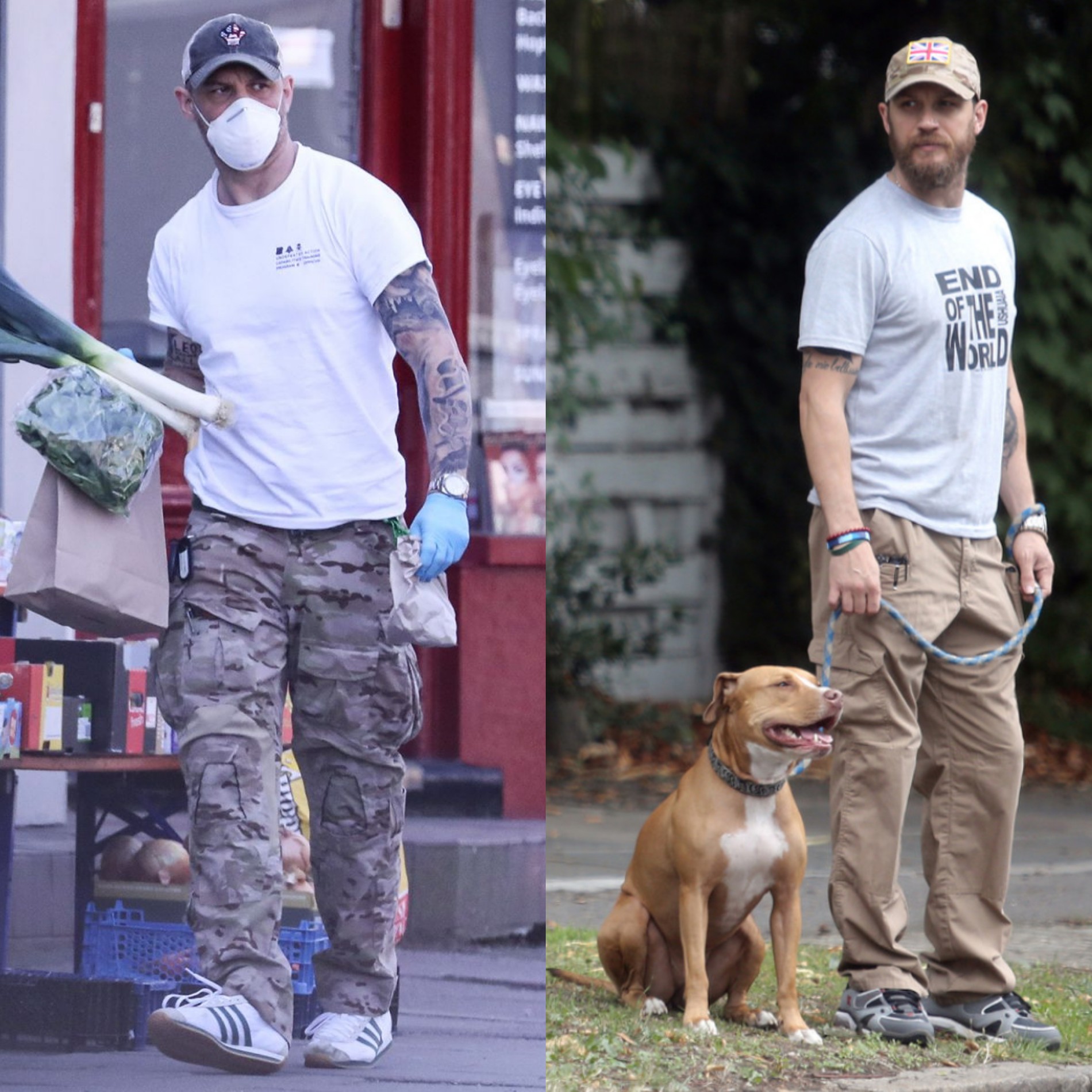 Том Харди.
Фото: Shutterstock, legion-media