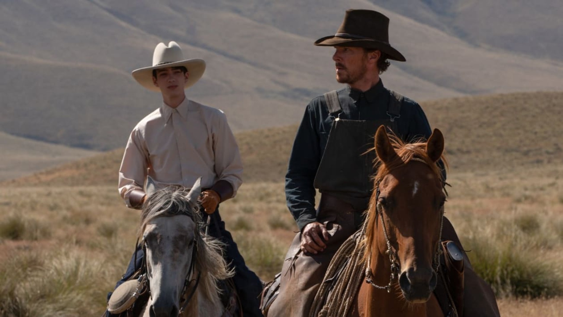 «Власть пса» (Netflix)