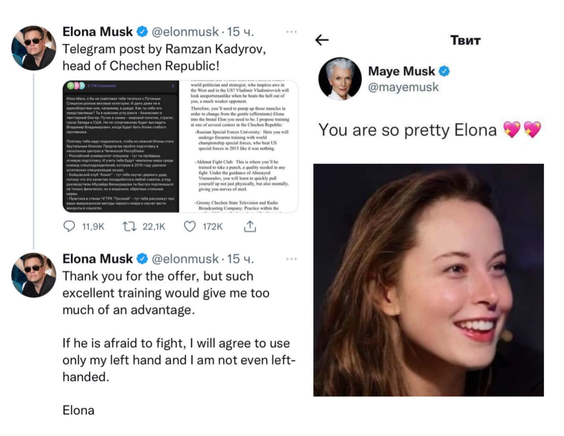 Фото: твиты Илона Маска и Мэй Маск