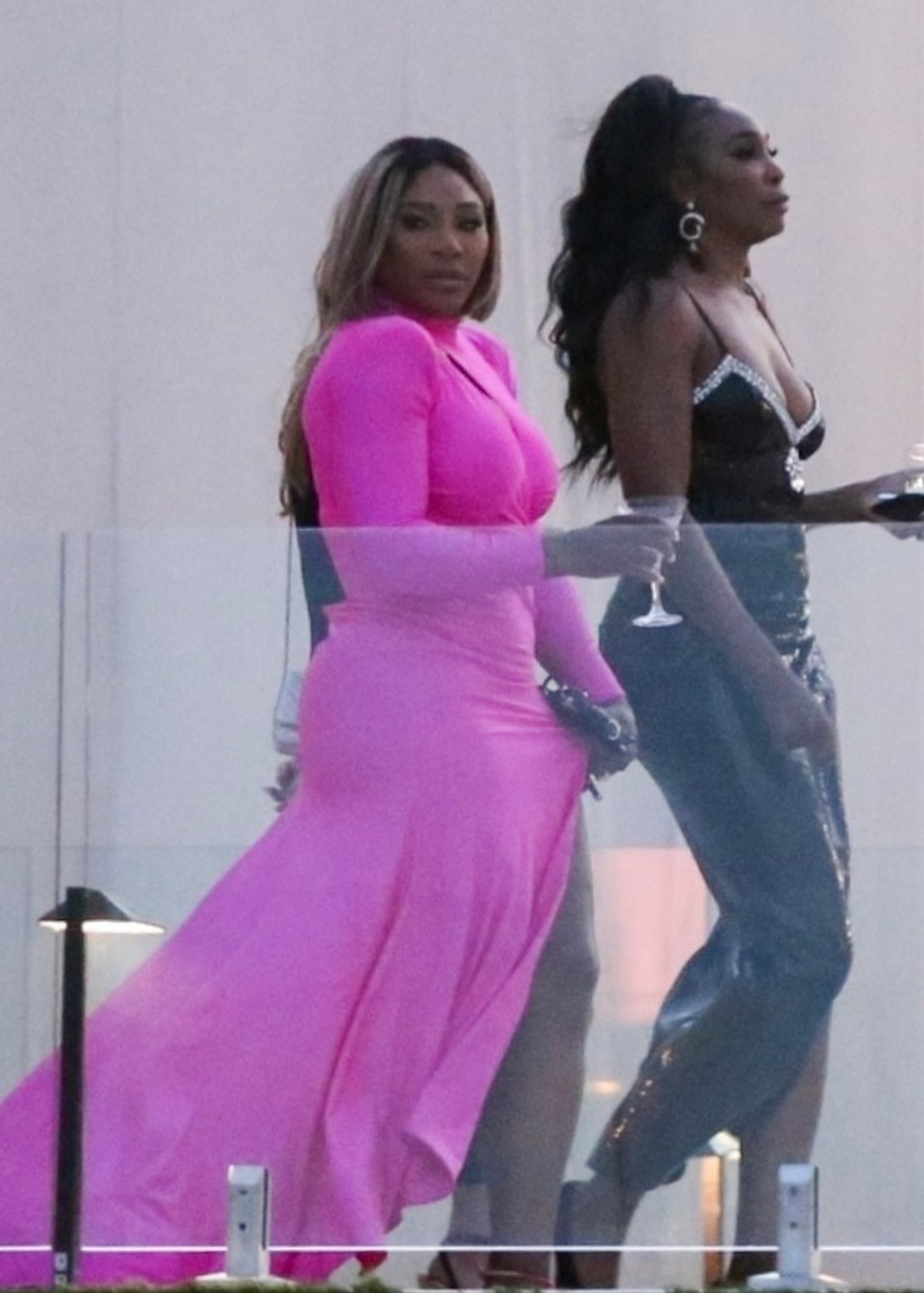 Сестры Уильямс
Фото: Daily Mail / Backgrid / Mega