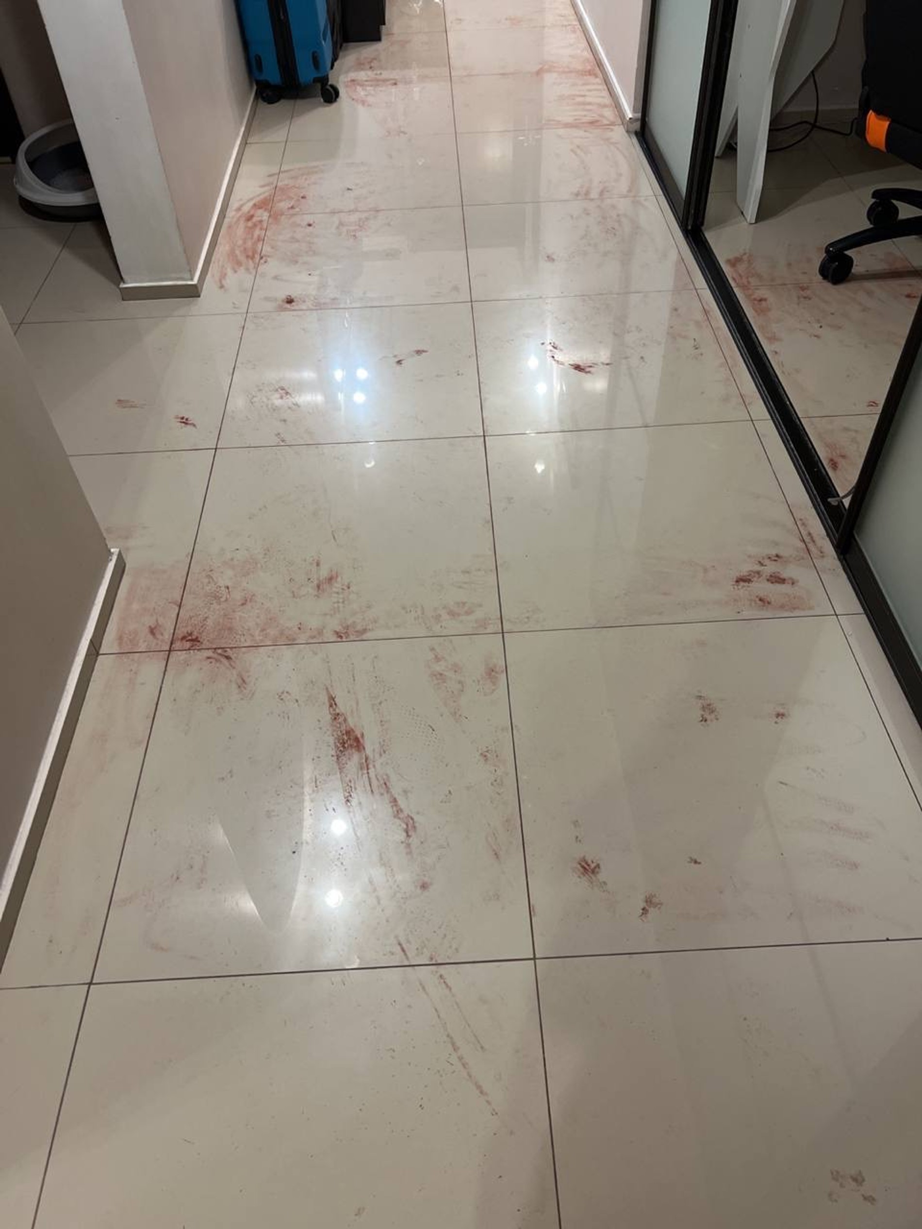 Фото: Телеграм-канал Некоглая