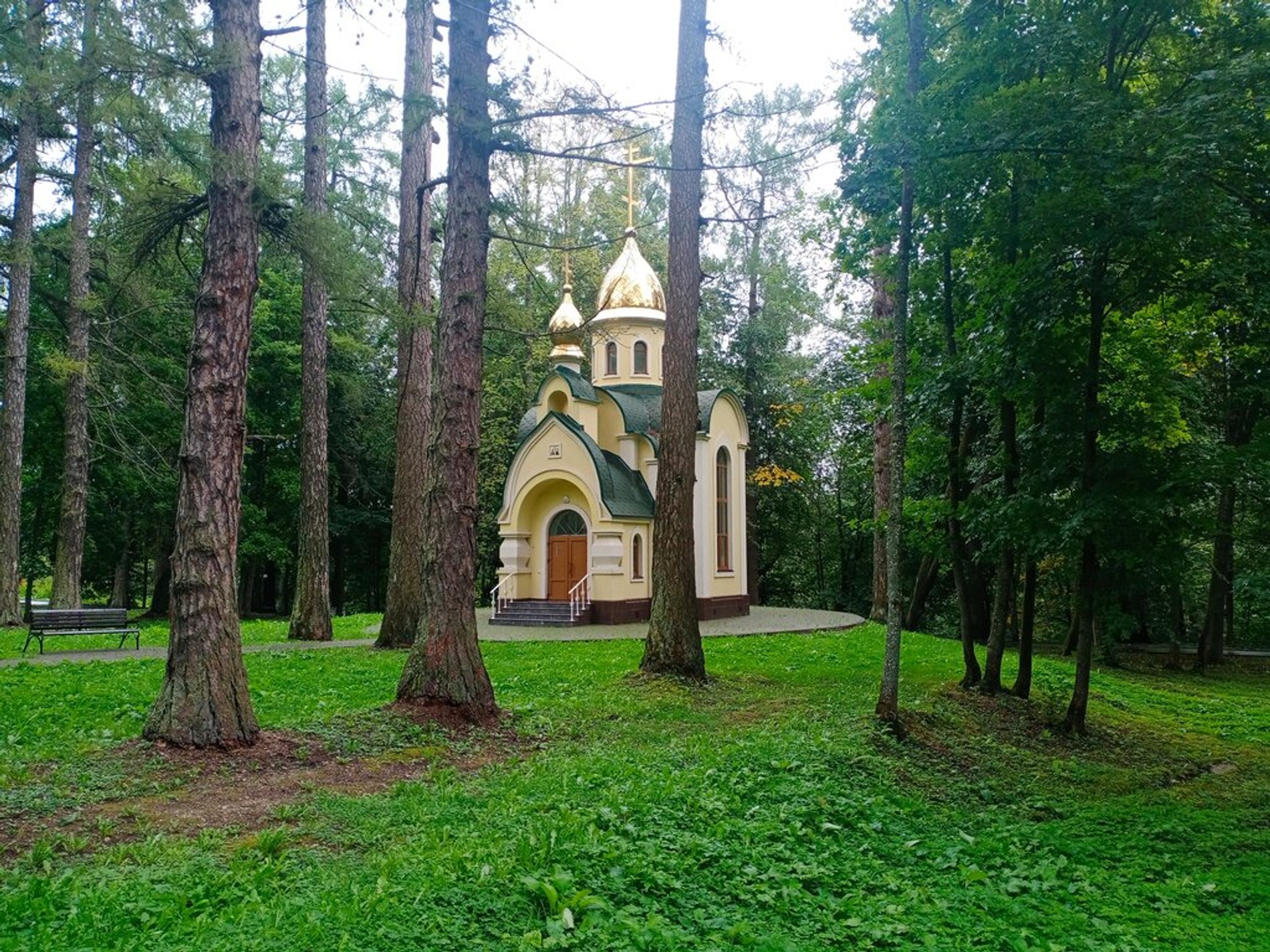 Аллея на территории разрушенной усадьбы