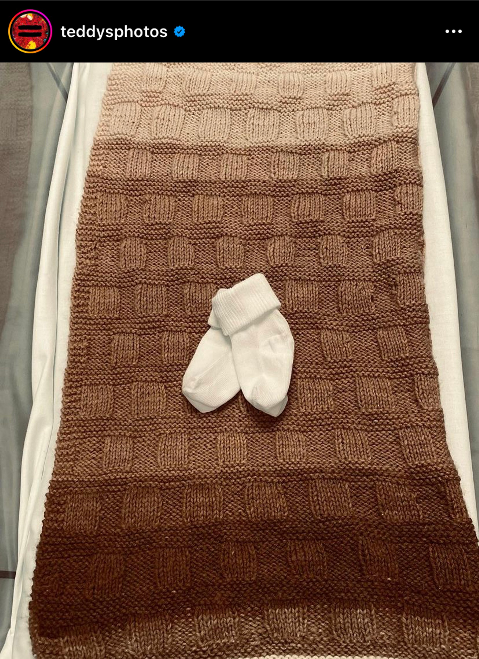 Instagram (запрещен в РФ) / @teddysphotos