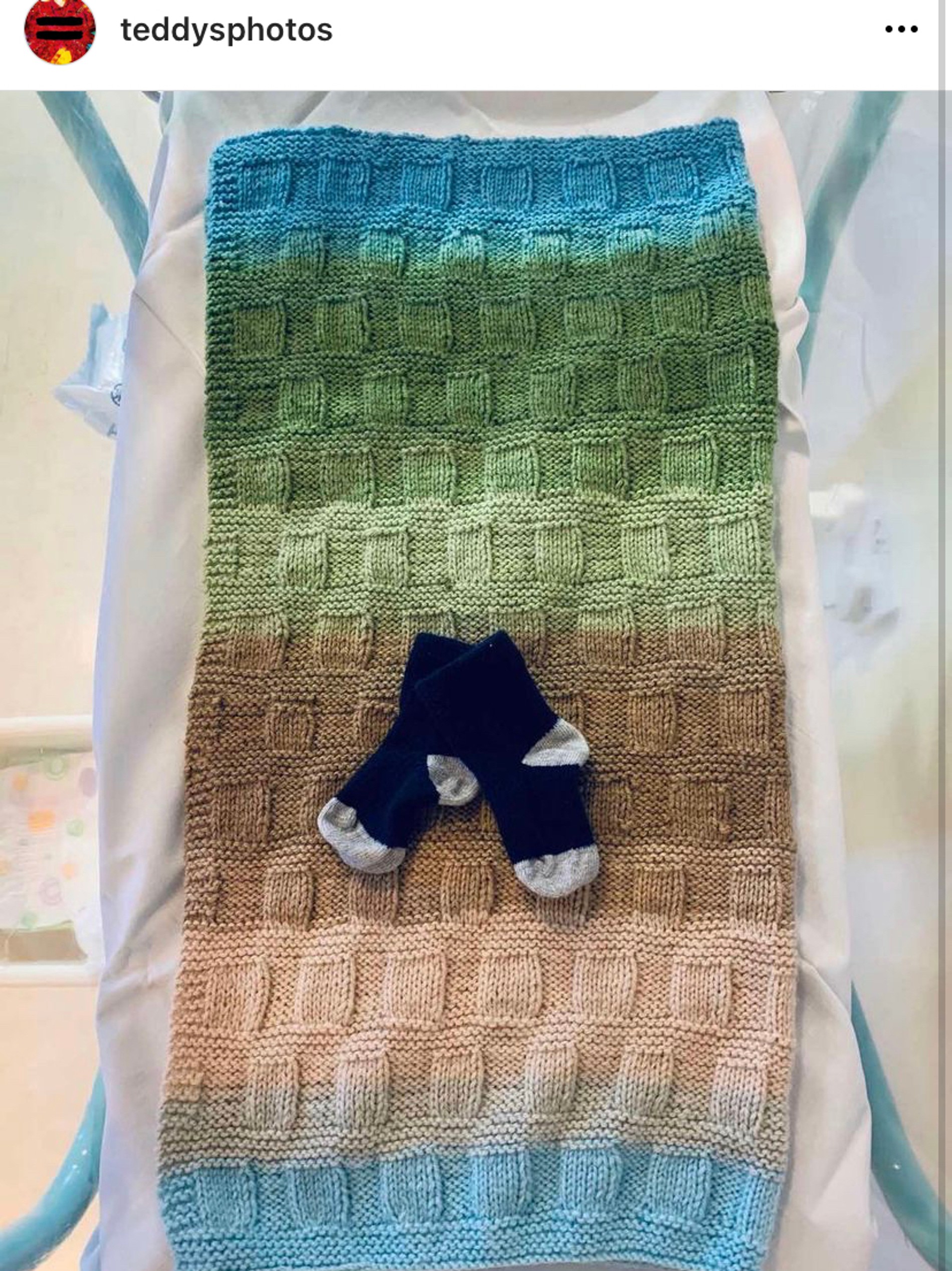 Инстаграм (запрещен в РФ) / @teddysphotos