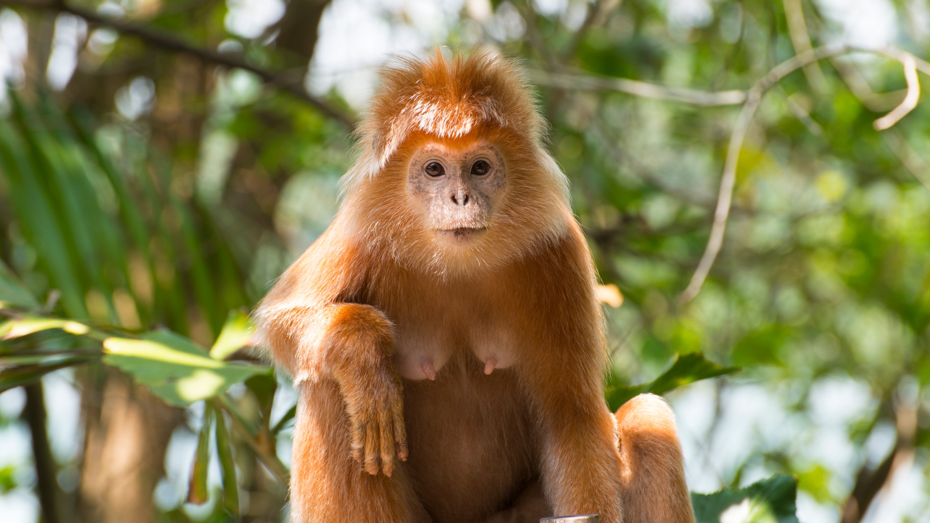 Фото: Getty Images