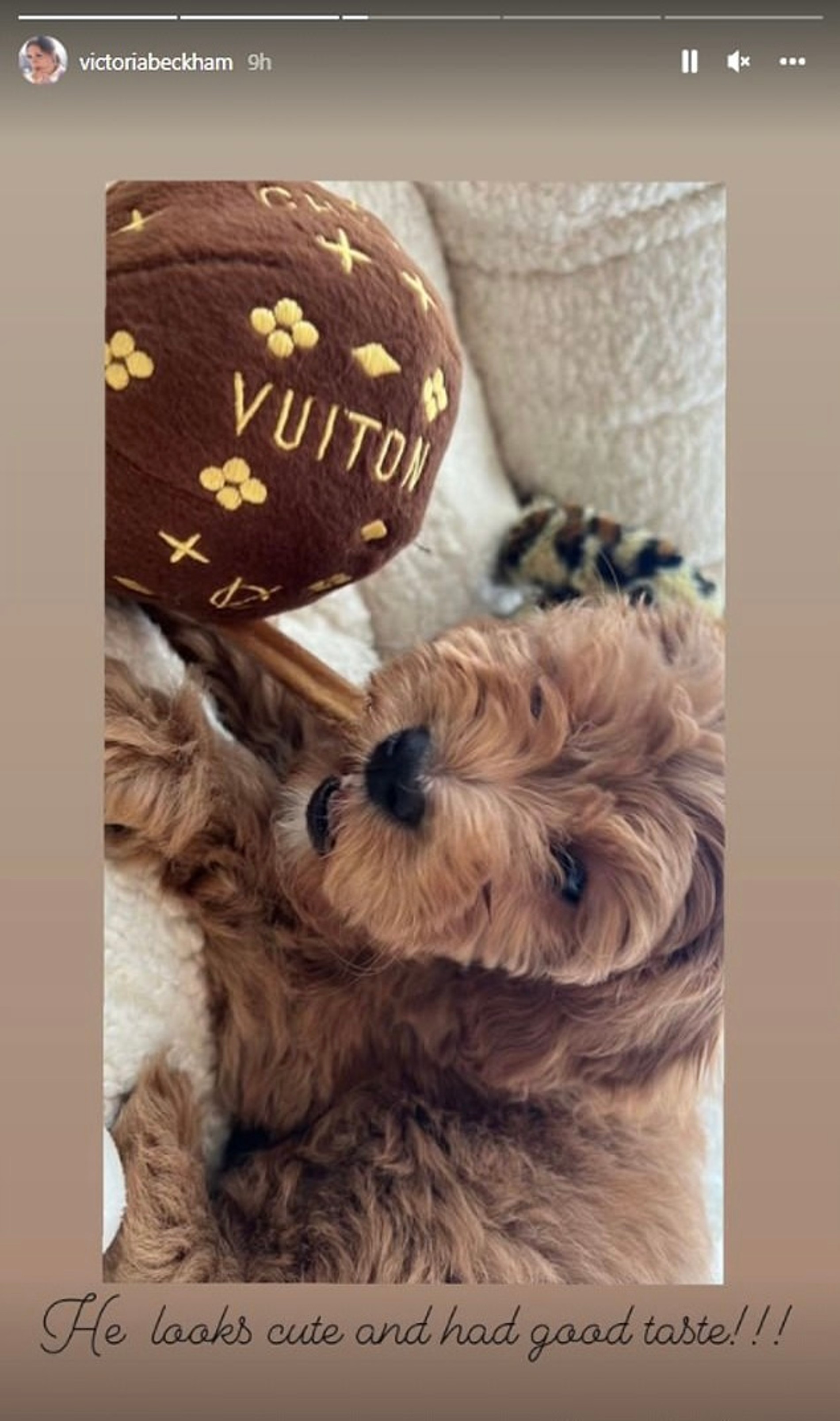 Фото: Инстаграм (запрещен в РФ)