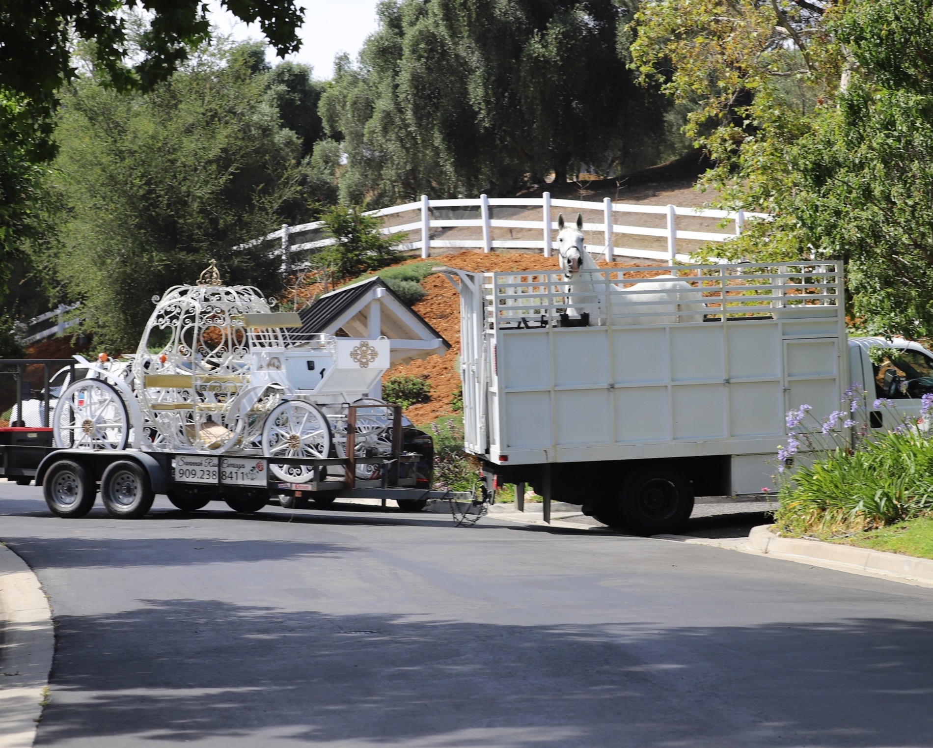 Фото: Legion-Media