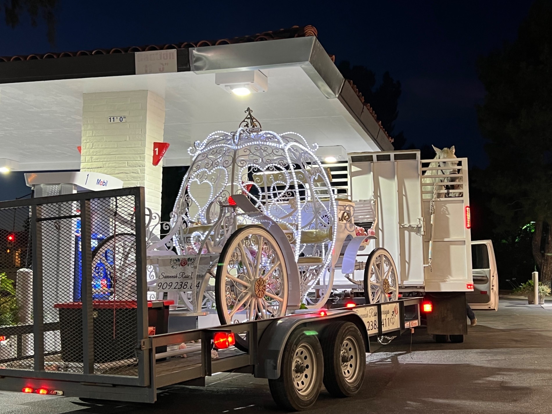 Фото: Legion-Media