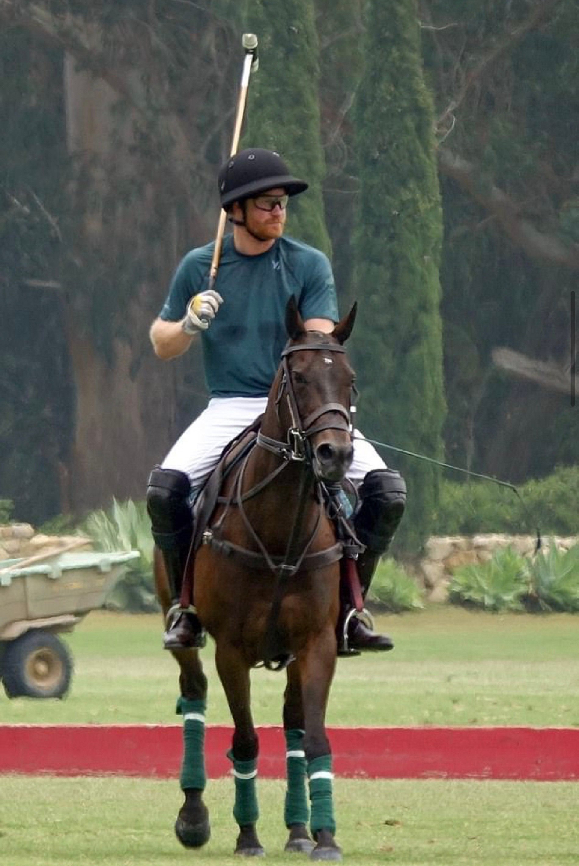 Принц Гарри
Источник: Daily Mail