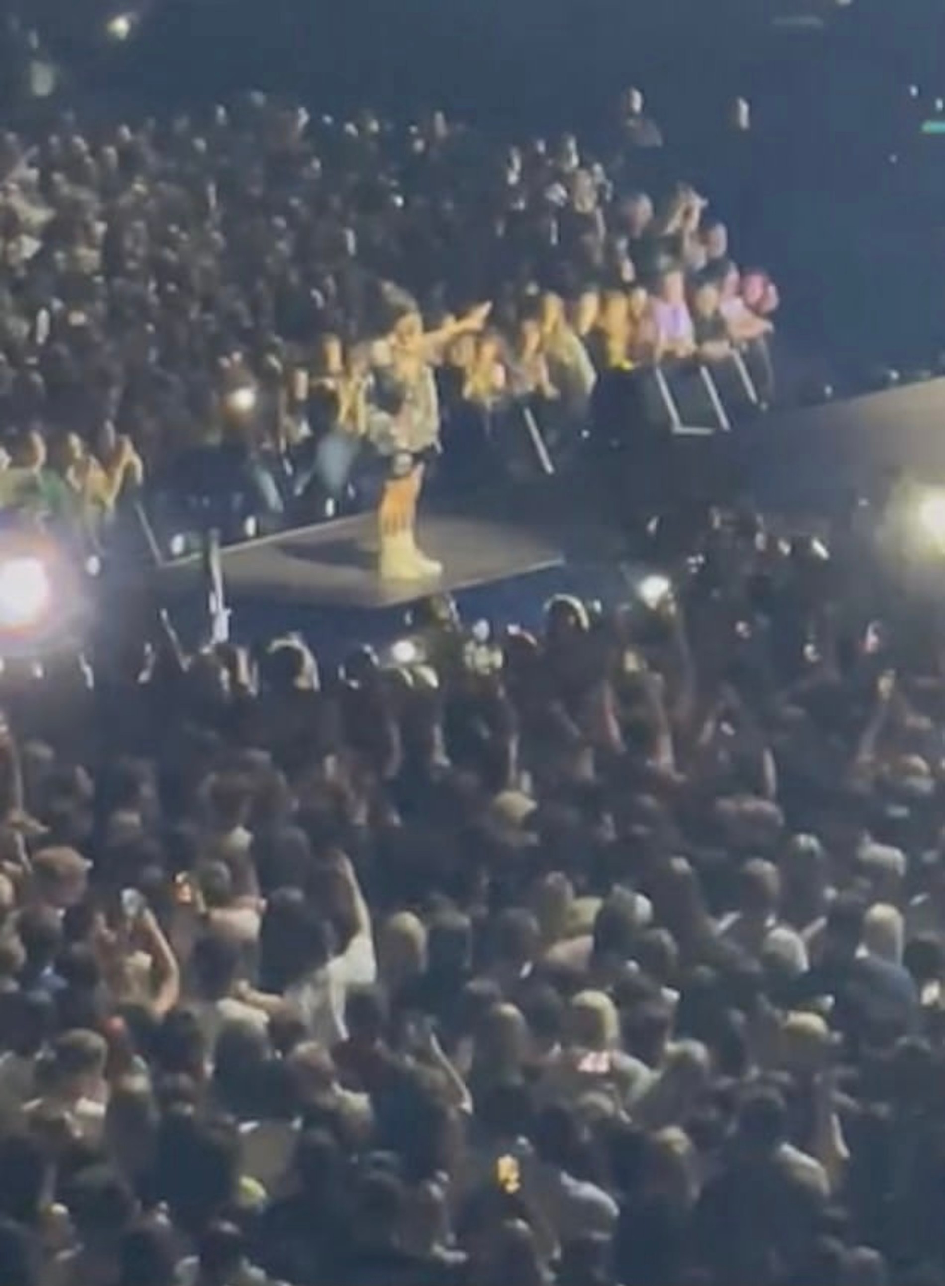 Фанаты Билли Айлиш во время концерта в Лондоне
Фото: MailOnline