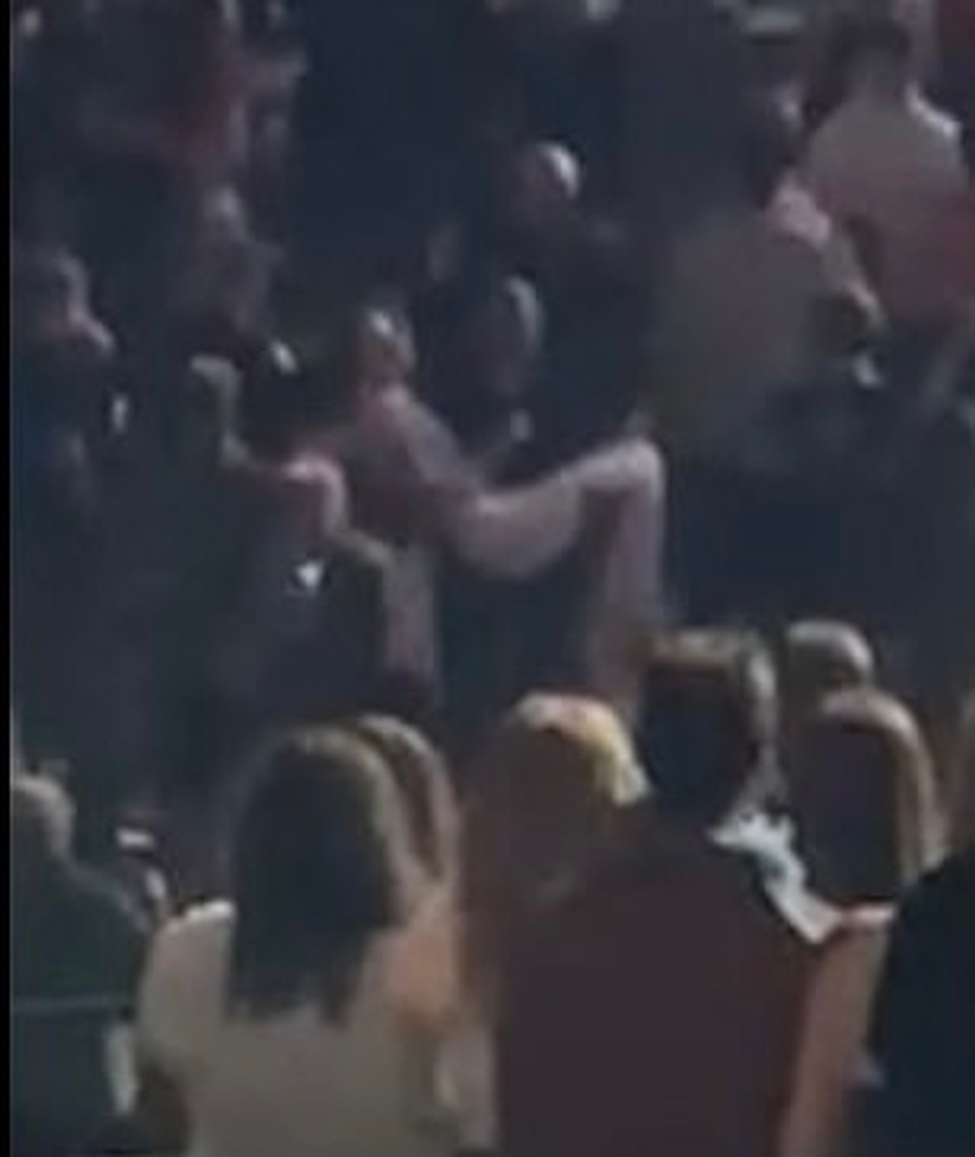 Фанаты Билли Айлиш упали в обморок во время концерта в Лондоне
Фото: MailOnline