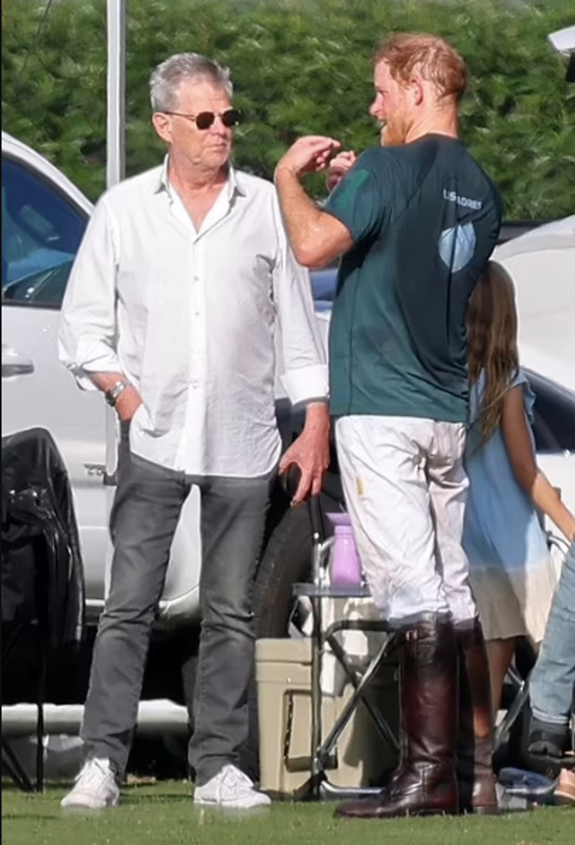 Принц Гарри и Дэвид Фостер
Фото: Daily Mail