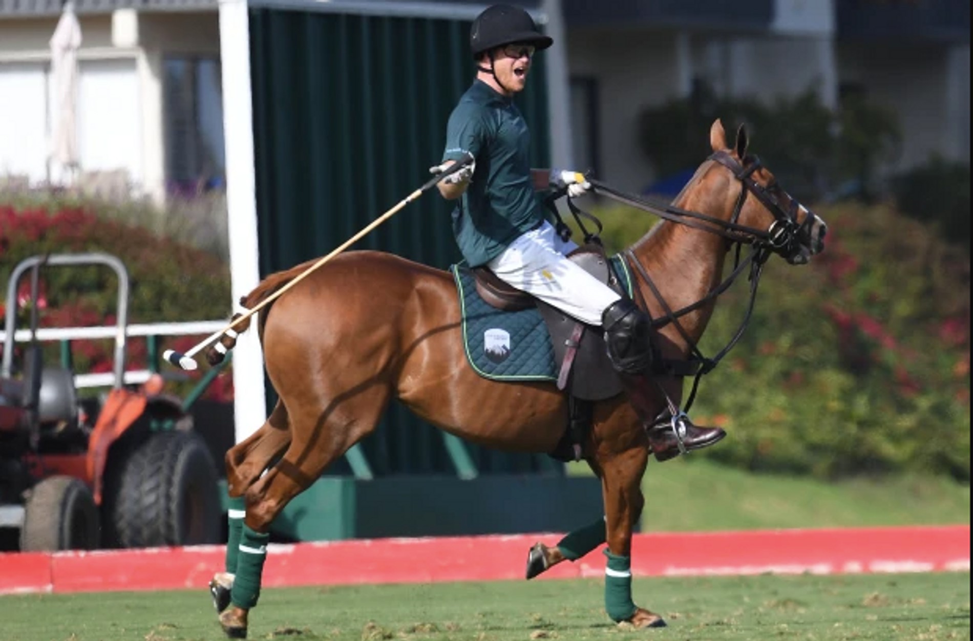 Фото: Daily Mail