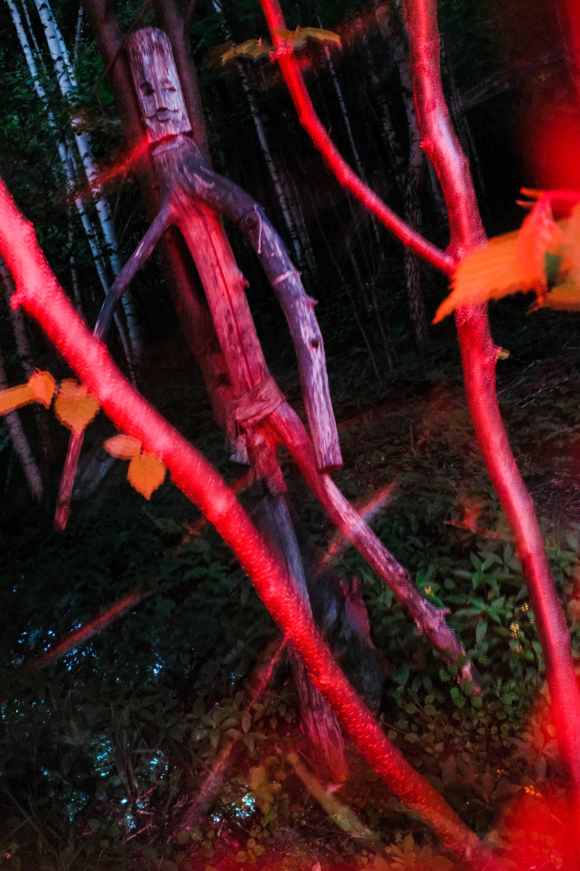 Фото: Владислав Савельев @indivvvvid