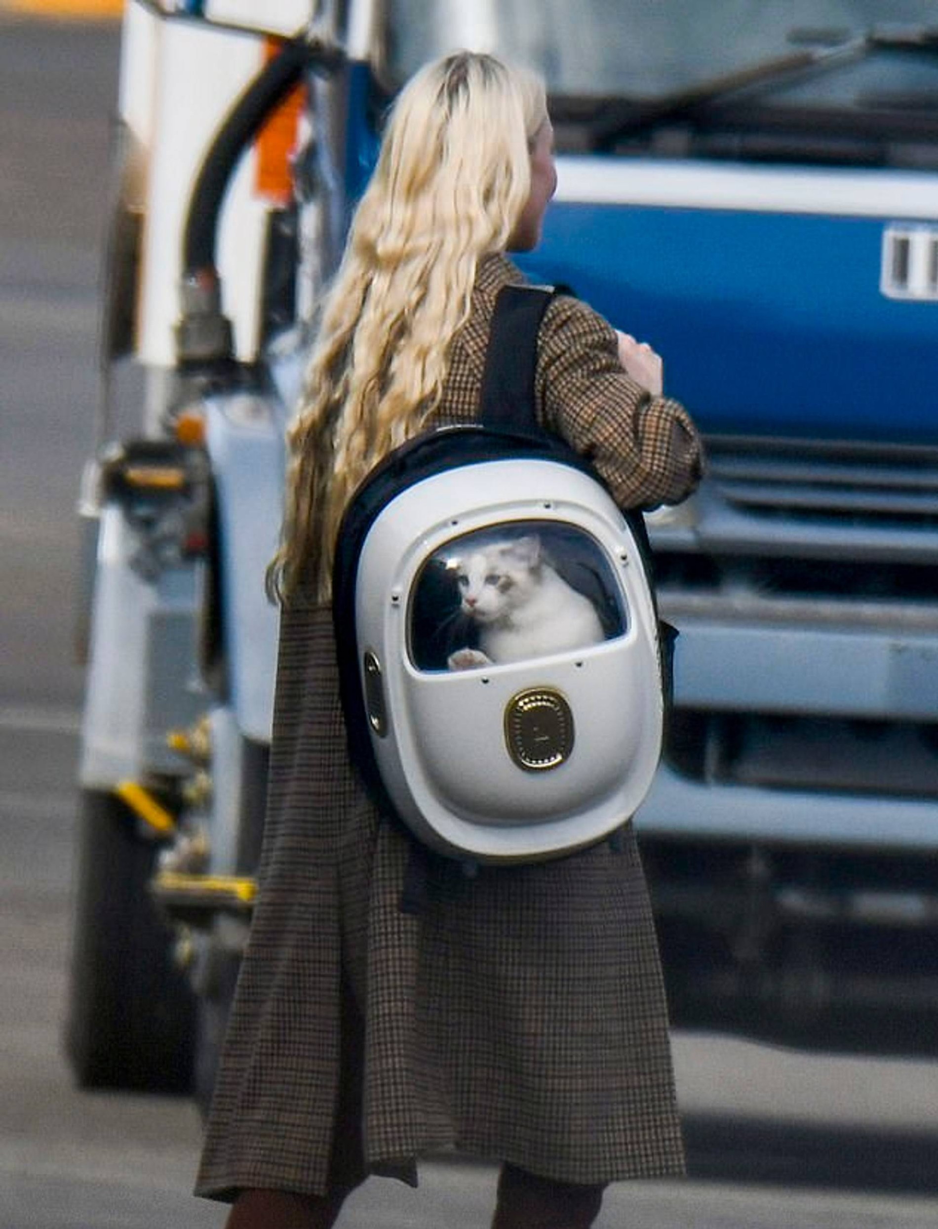 Фото: JaydenSeyfath / Media-Mode/Spla