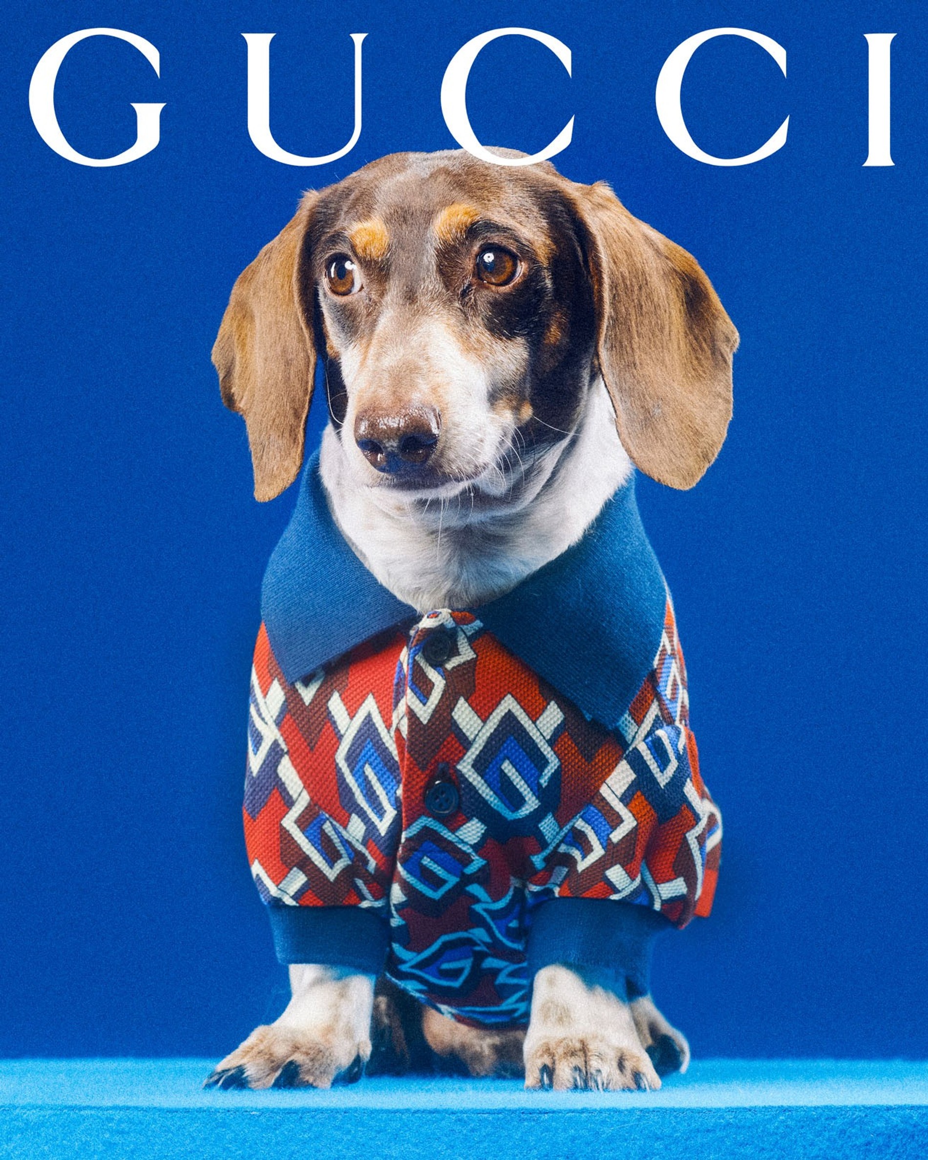 Фото: Max Siedentopf / Gucci