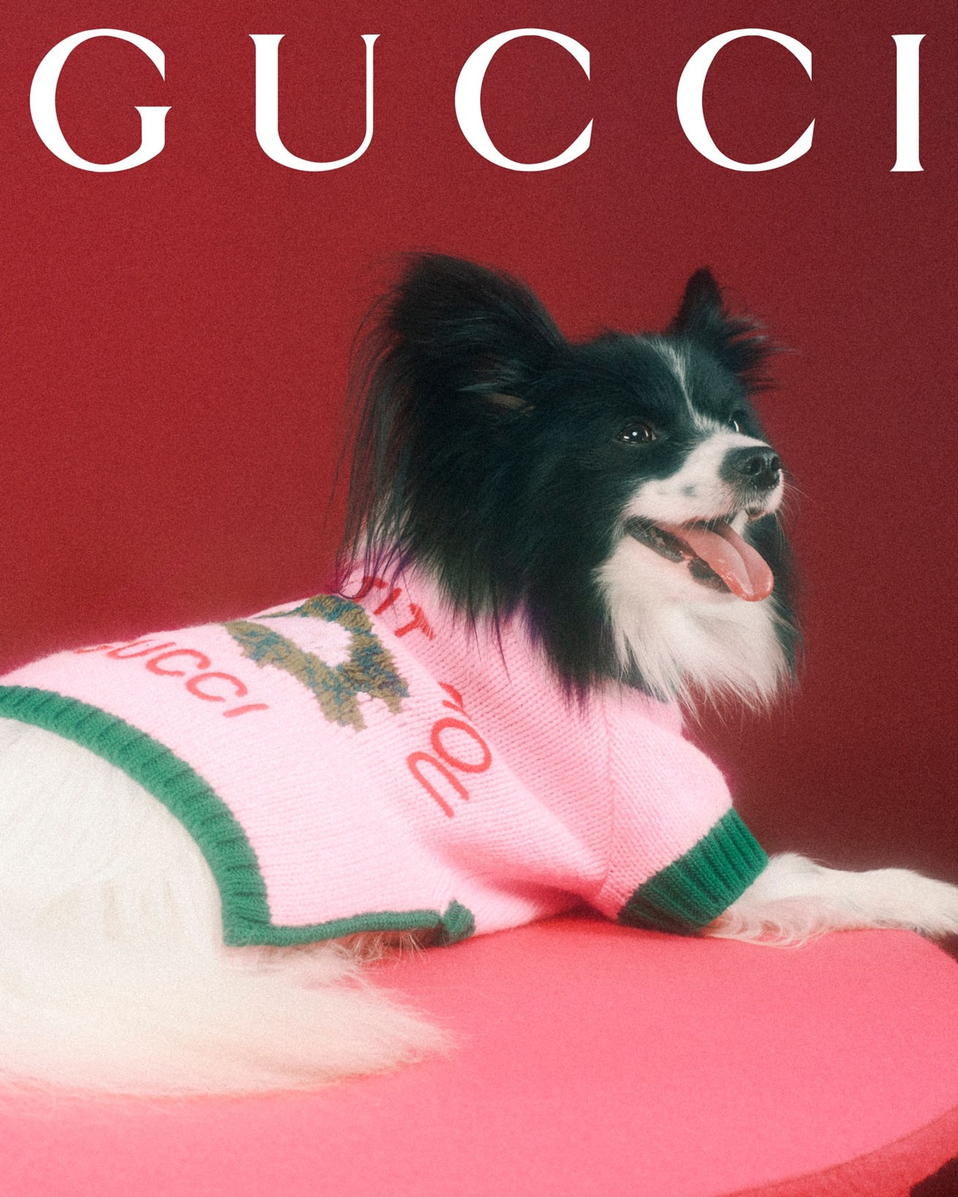 Фото: Max Siedentopf / Gucci