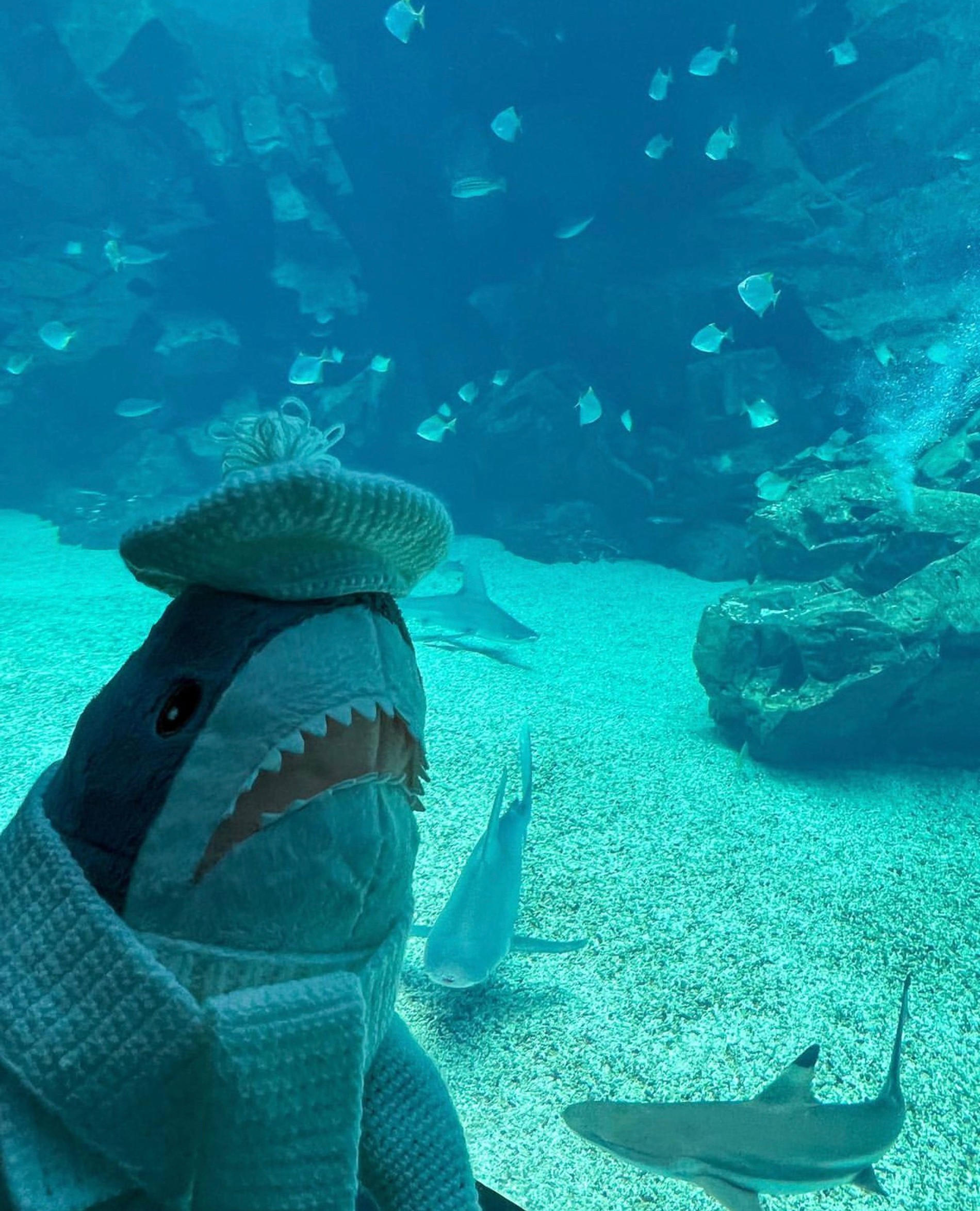 Фото: instagram.com (Запрещен в РФ)