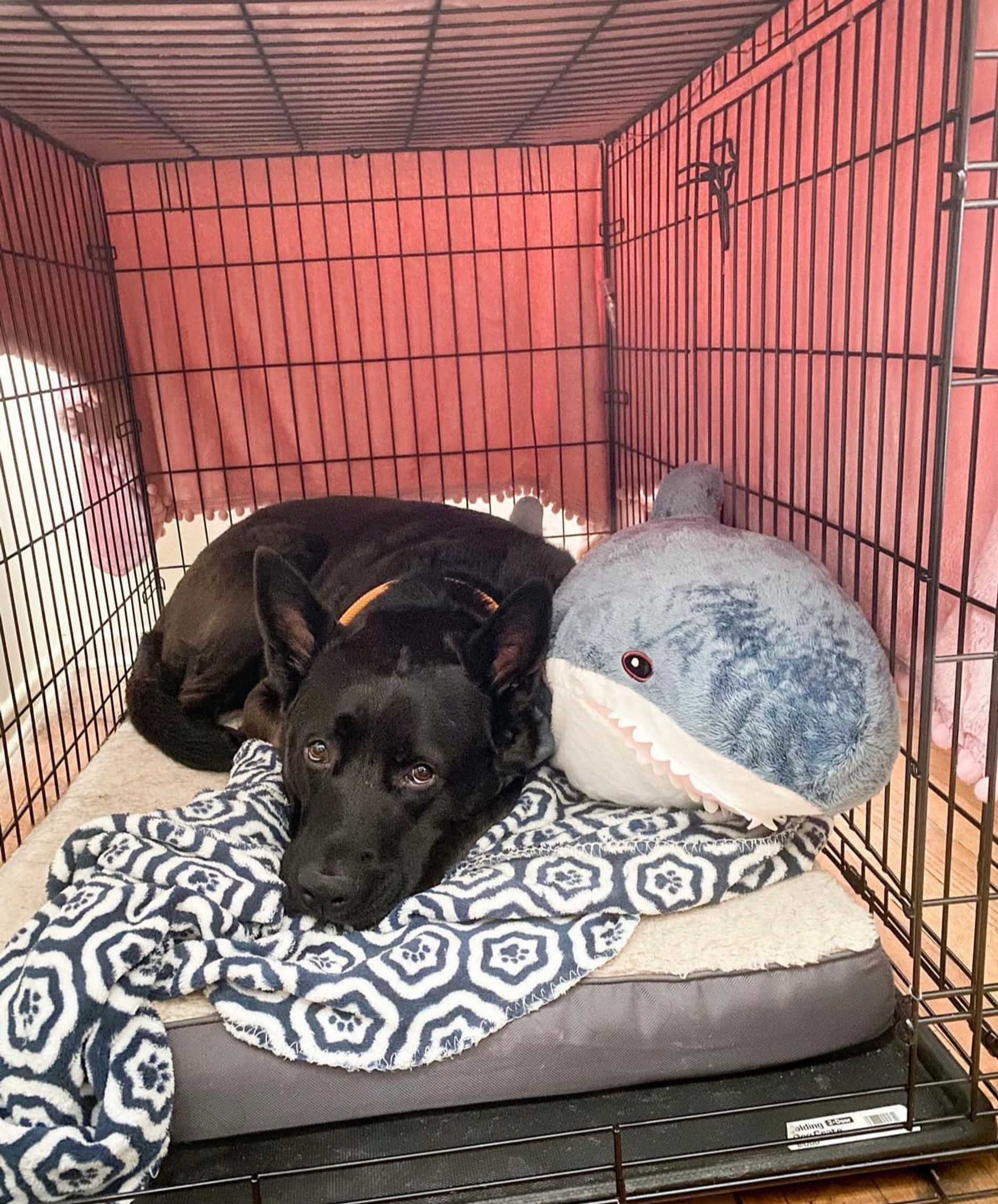 Фото: instagram.com (Запрещен в РФ)