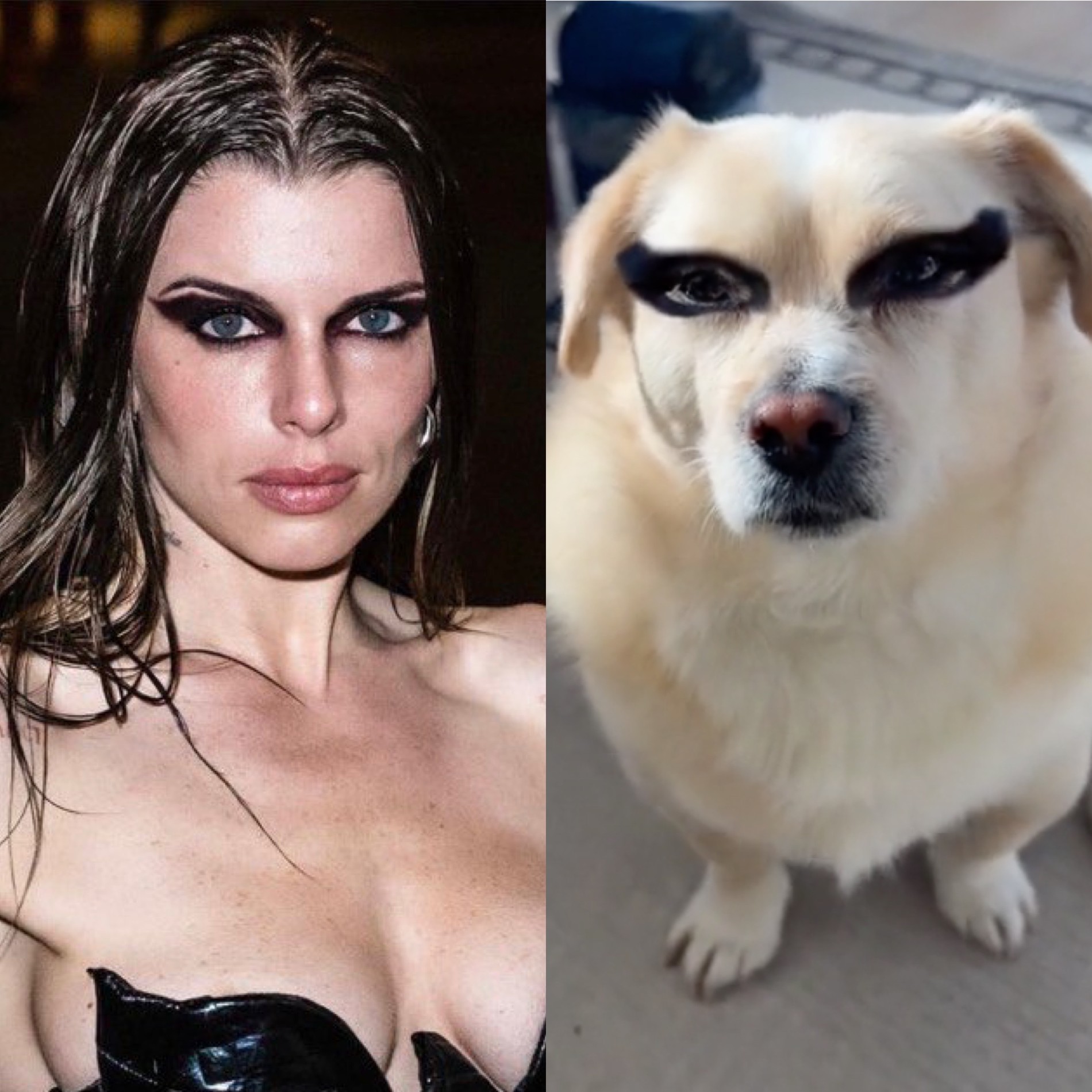 Фото: Инстаграм (запрещен в РФ) Фокс, Medialeks, коллаж Super