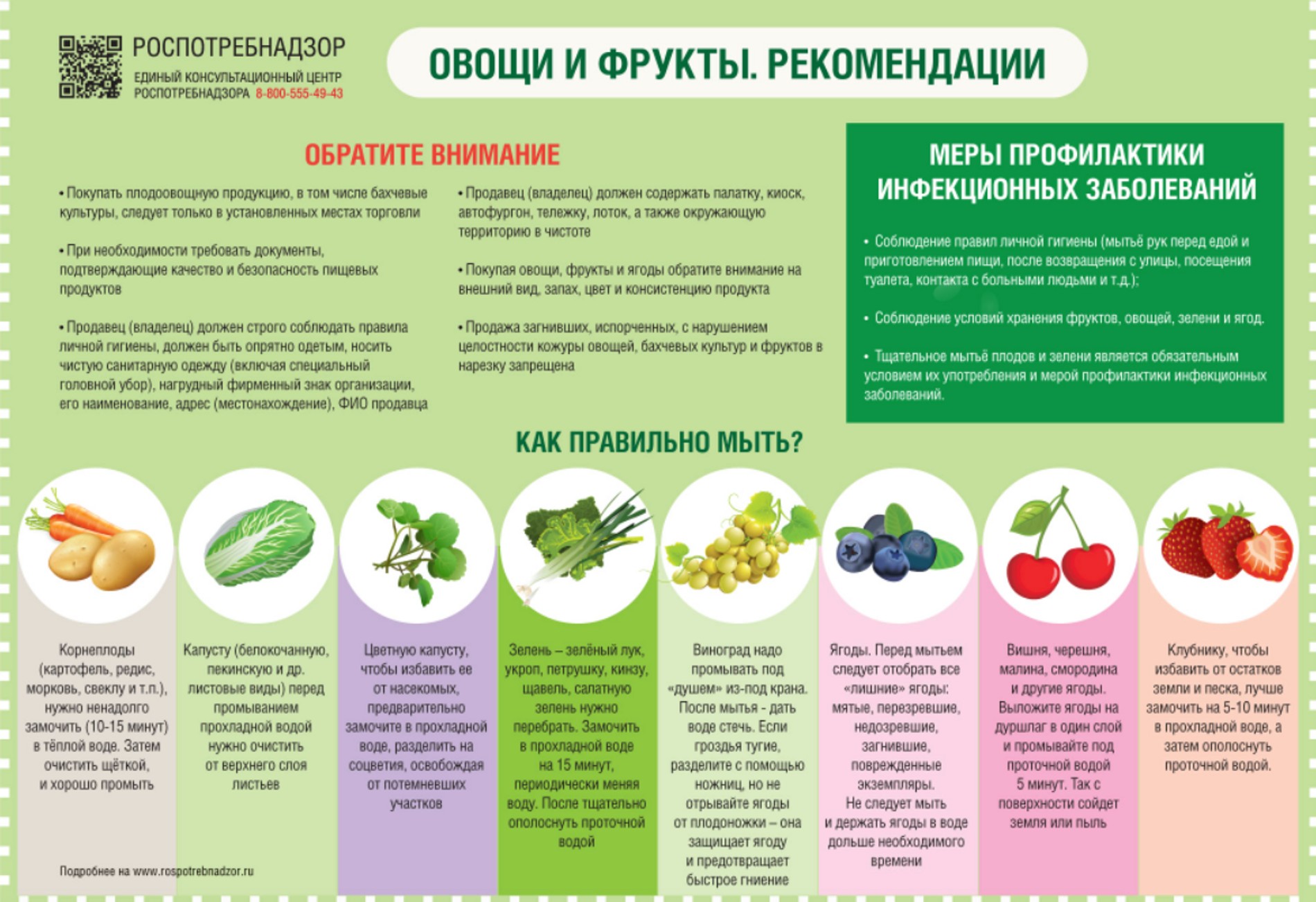 Контрольная закупка: как отличить качественные овощи, фрукты и ягоды от  опасных продуктов с нитратами