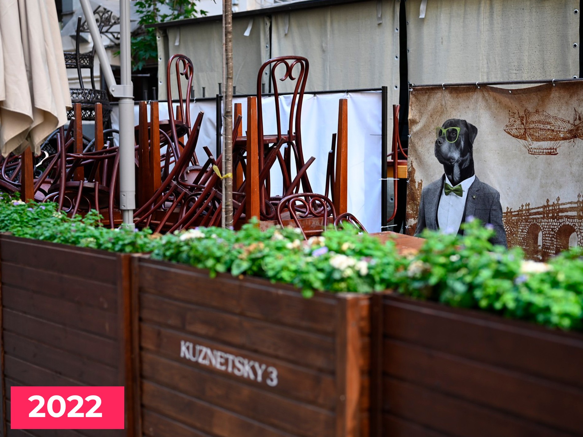 Фото: Super.ru / Марченко Александра