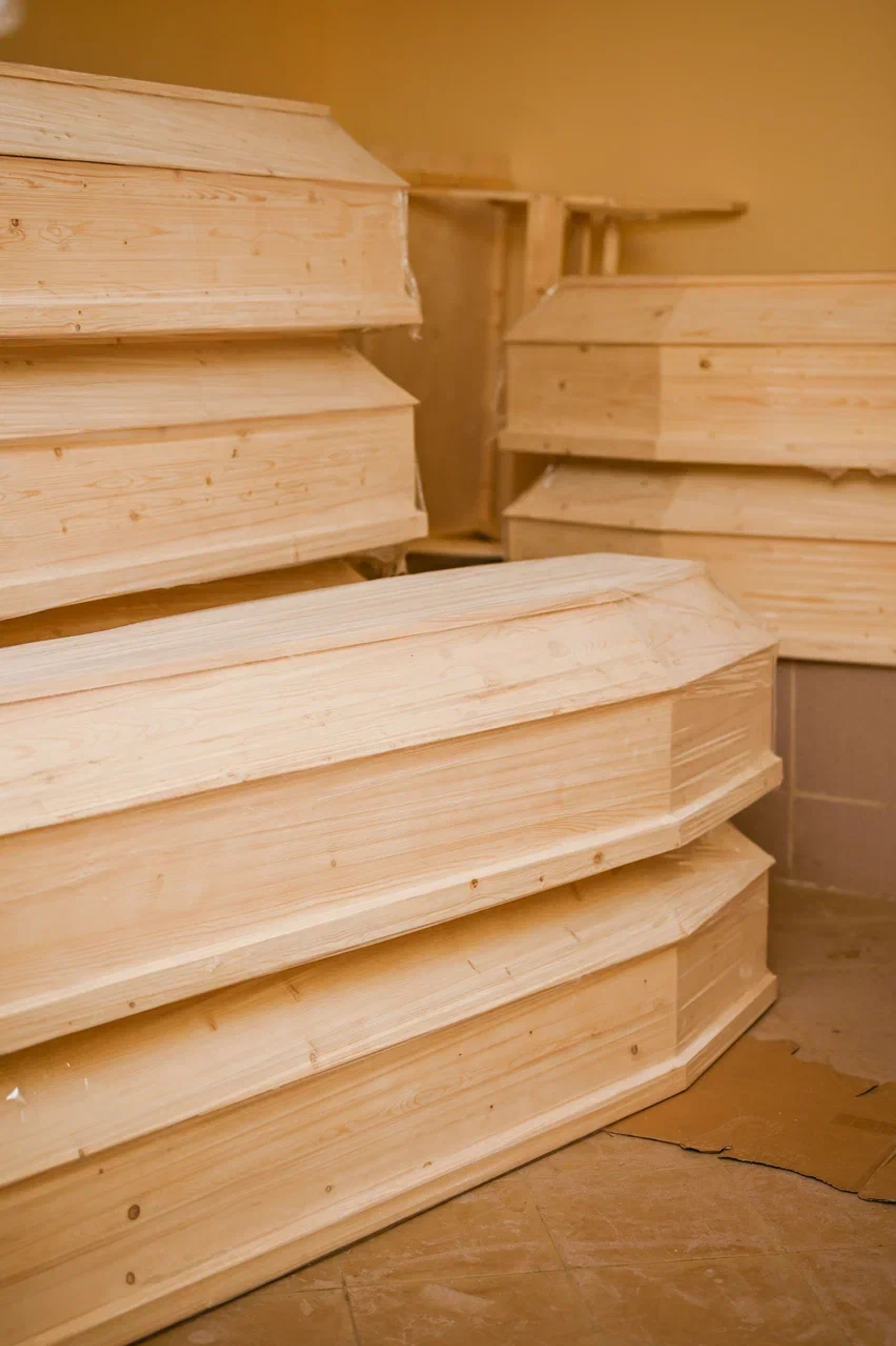 Фото: Super.ru / Марченко Александра