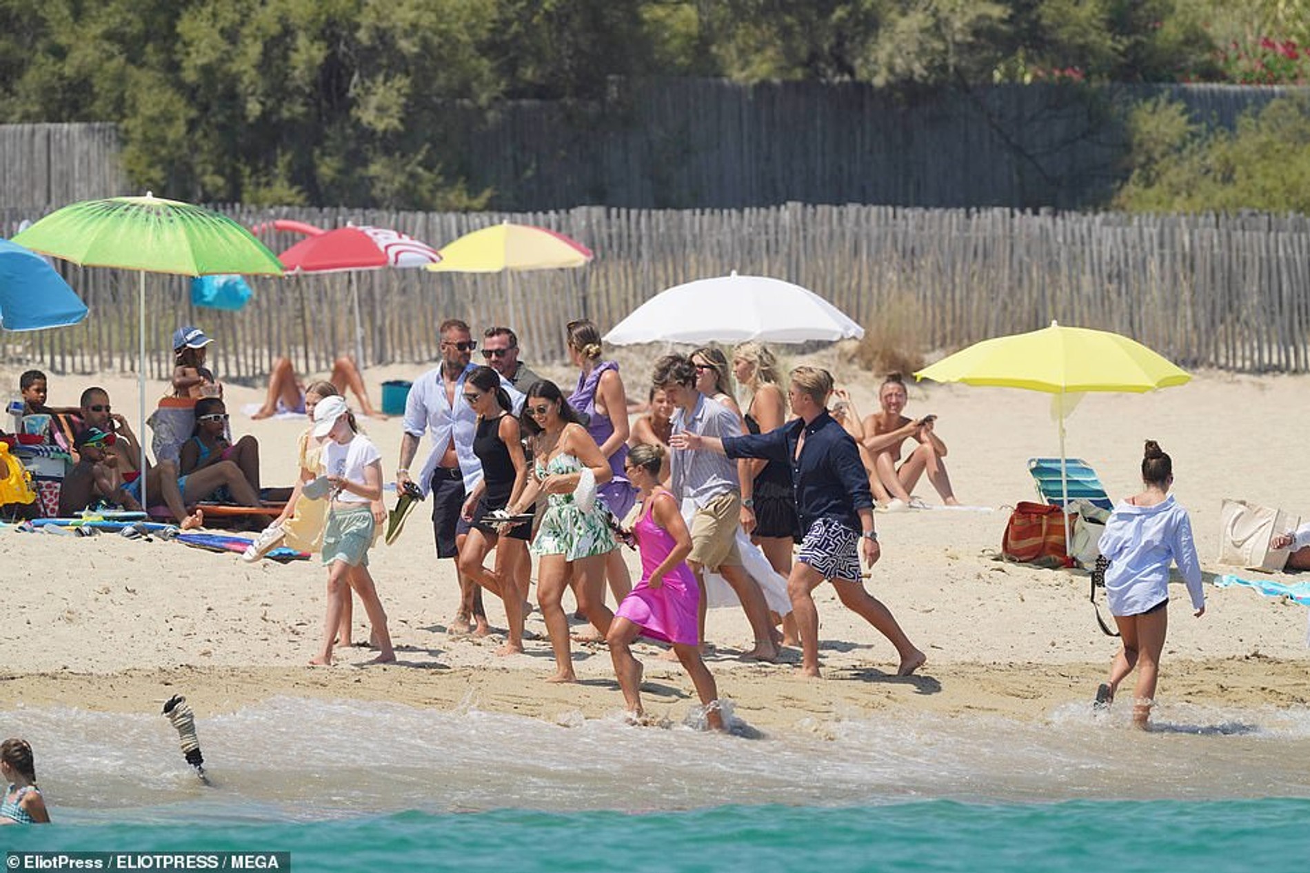 Фото: ELIOTPRESS / MEGA