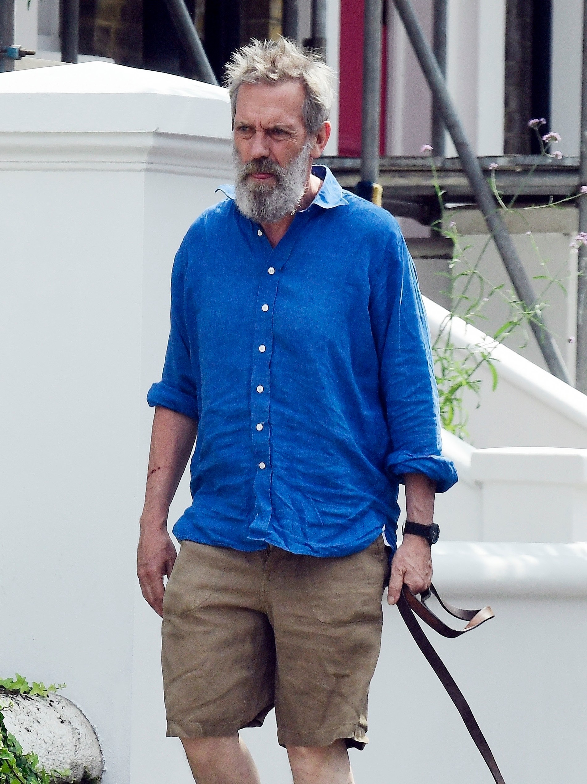 Фото: Legion-media
Хью Лори